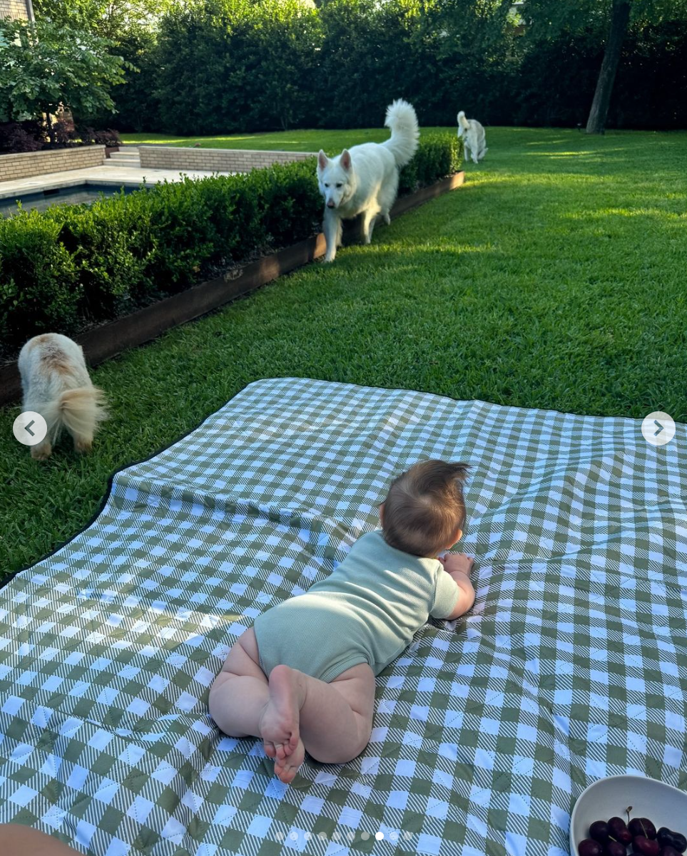 Anamaria Goltes, Gabriela