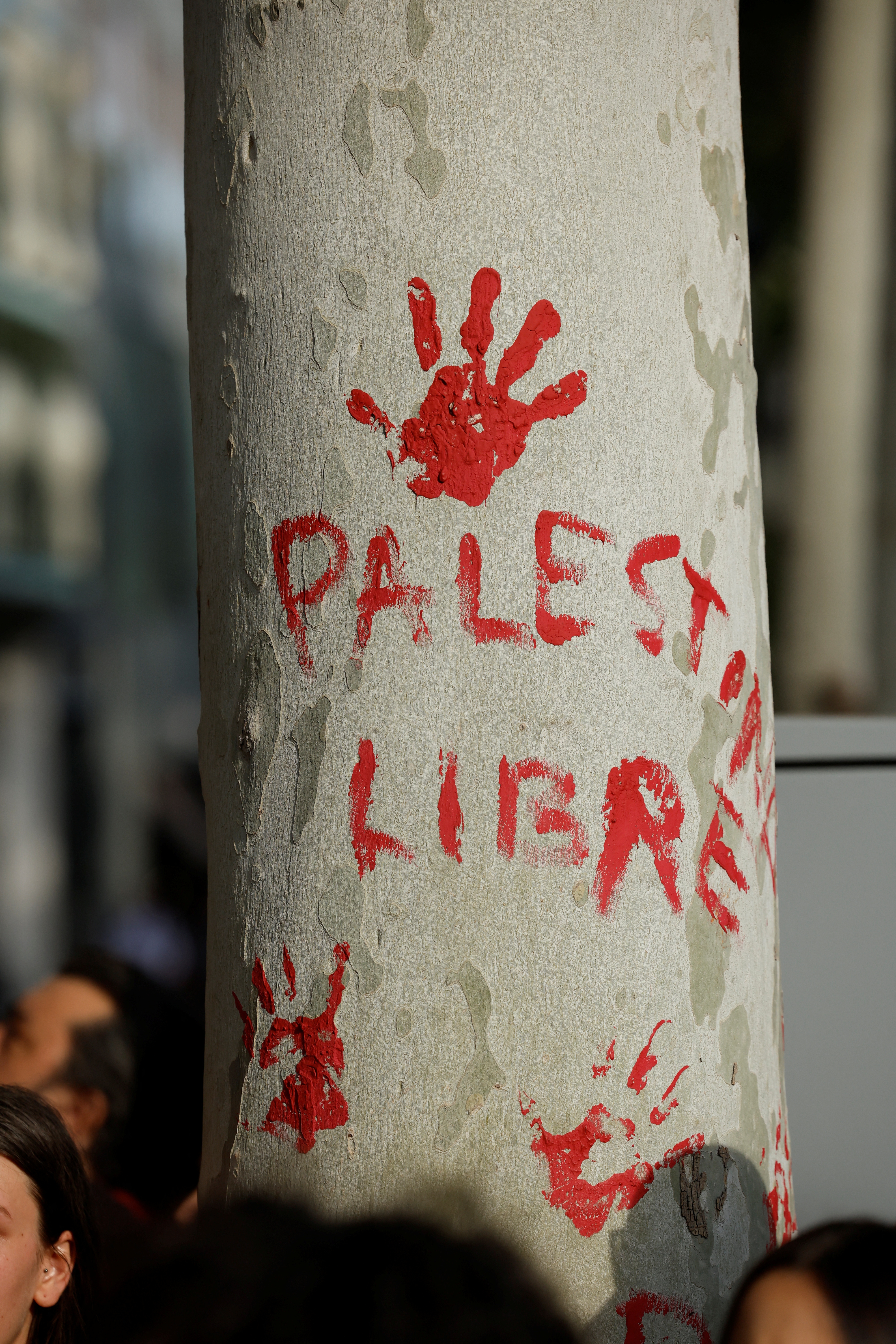 Protesti v podporo Palestini v Barceloni (Foto: Albert Gea/REUTERS)