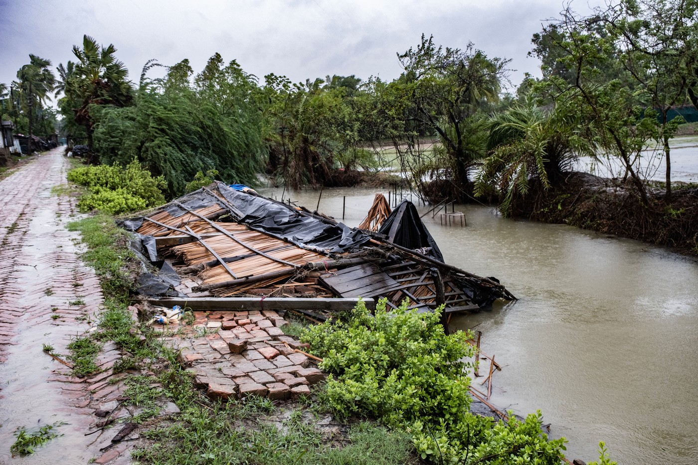 Kachuberia, Indija (Foto: PROFIMEDIA)
