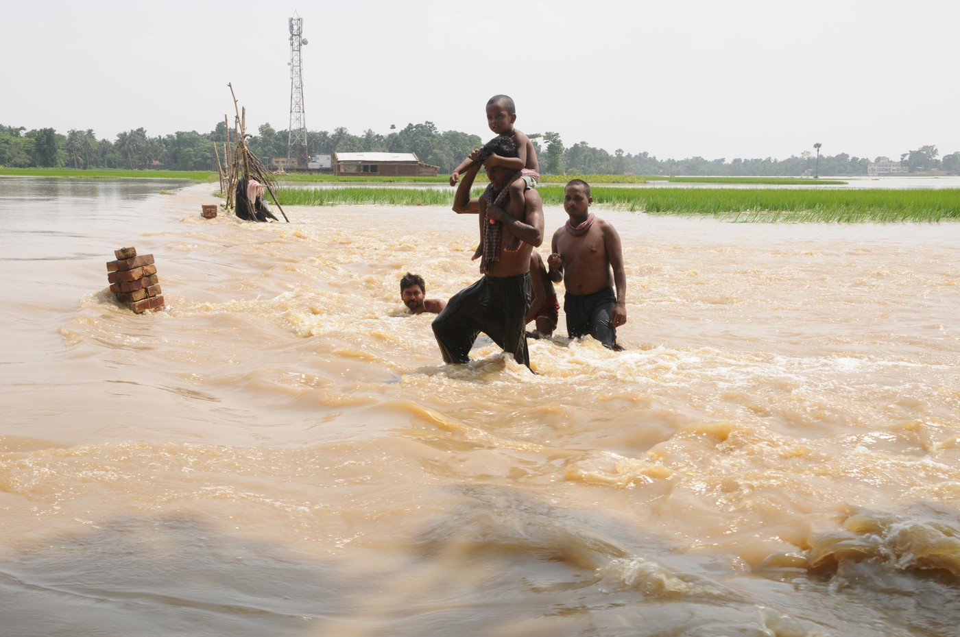 Parganas, Indija (Foto: PROFIMEDIA) 