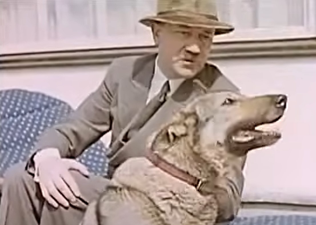 Adolf Hitler, Blondi, pes