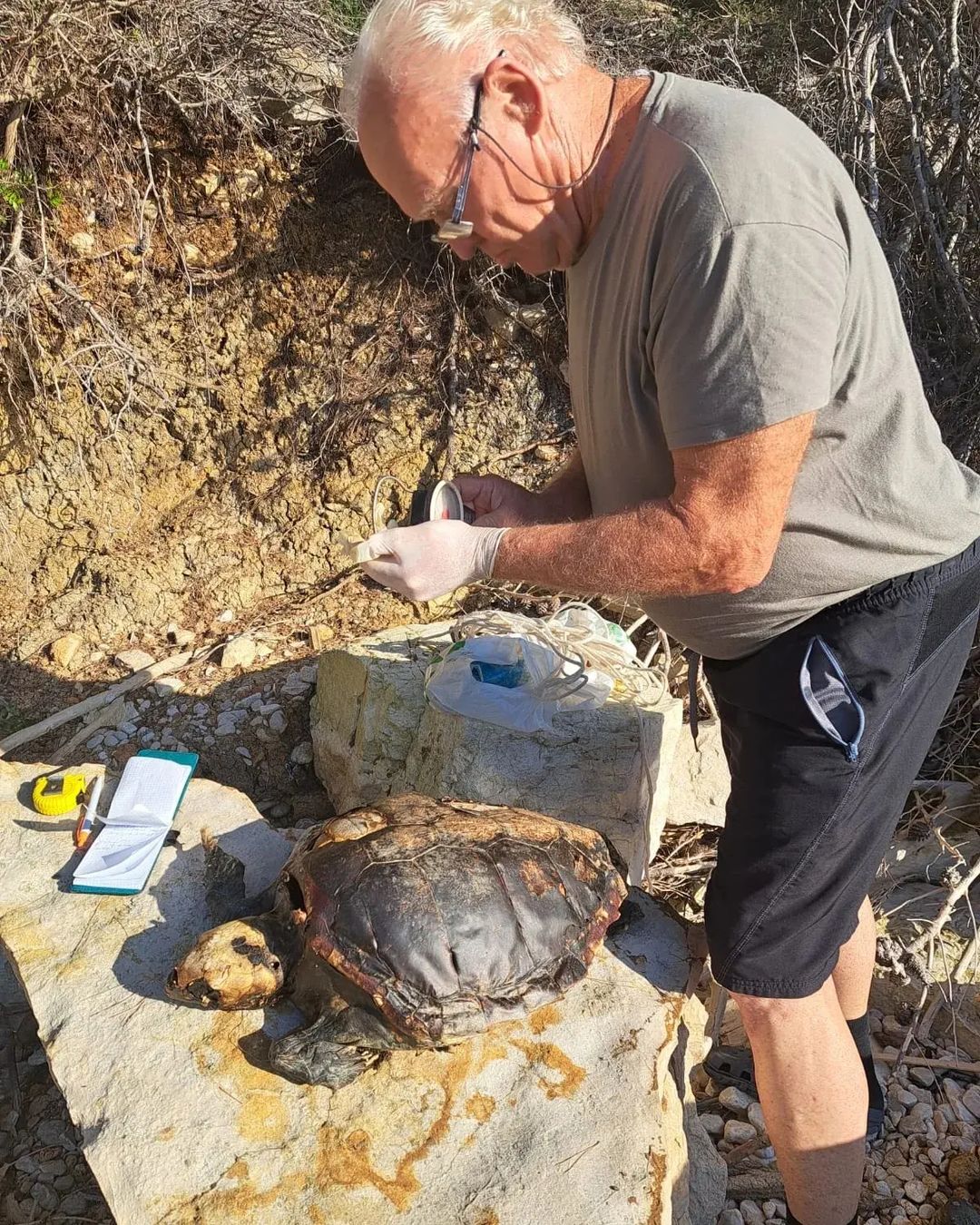 Foto: @np_lastovoislands/INSTAGRAM