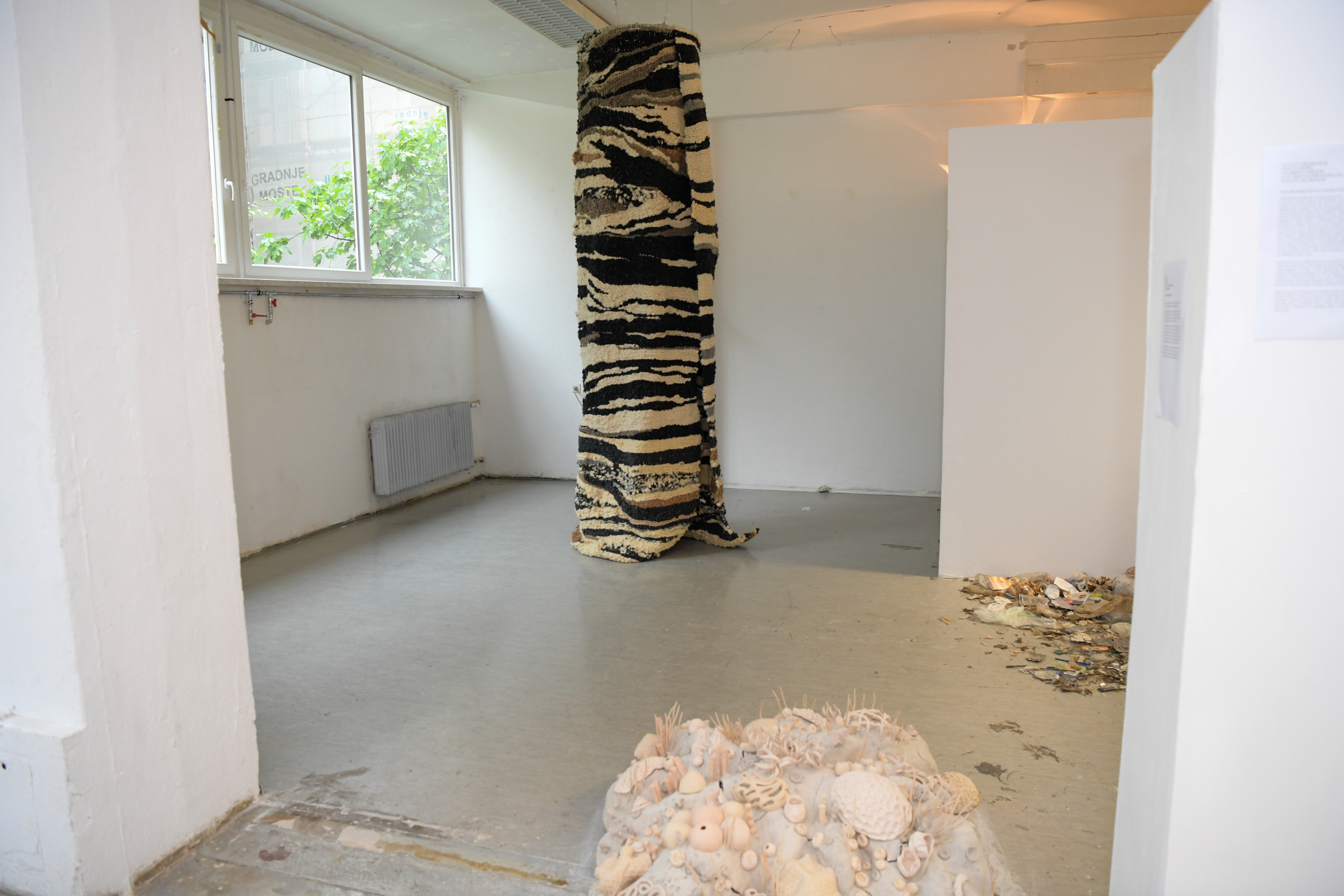 Foto: Egon Parteli/N1