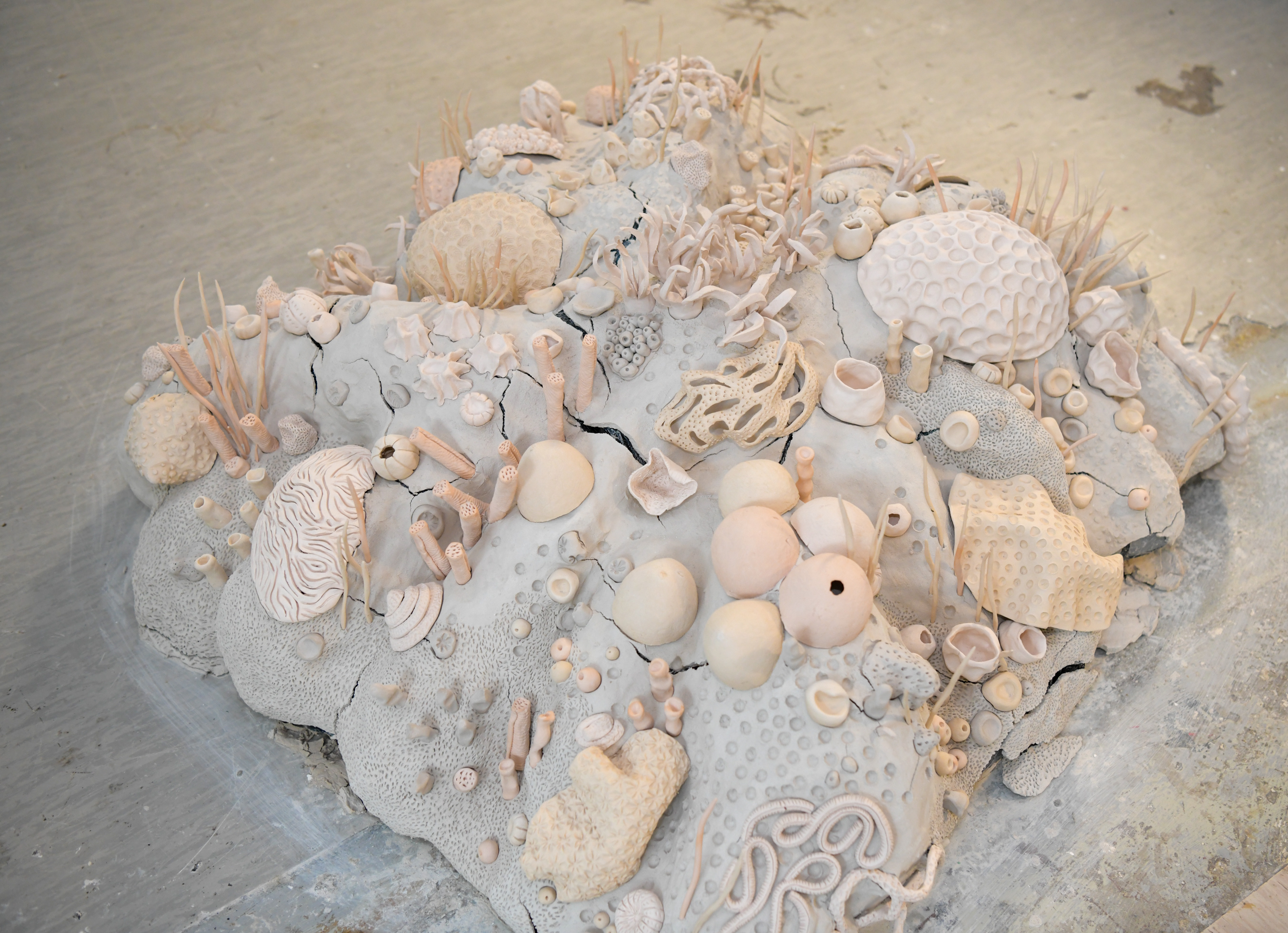 Foto: Egon Parteli/N1