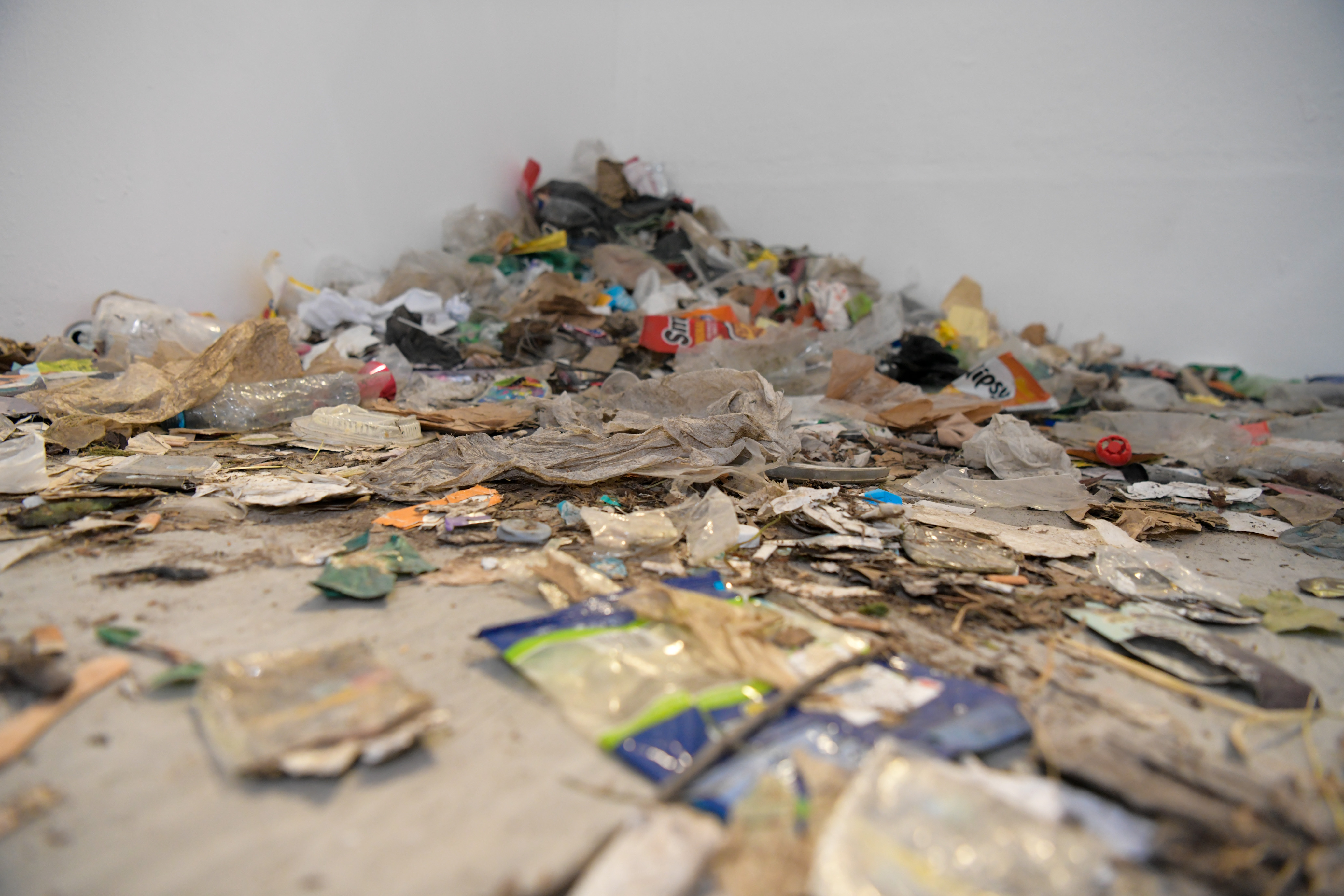 Foto: Egon Parteli/N1