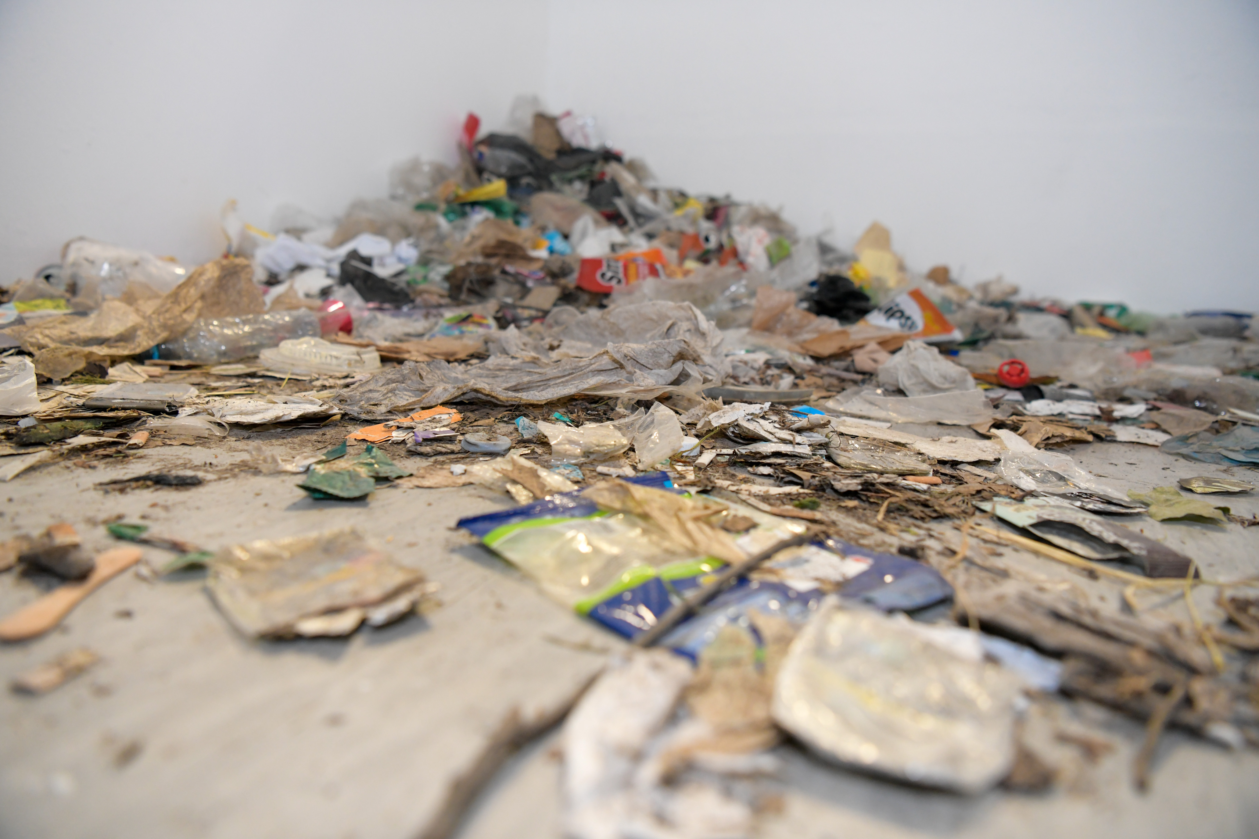 Foto: Egon Parteli/N1