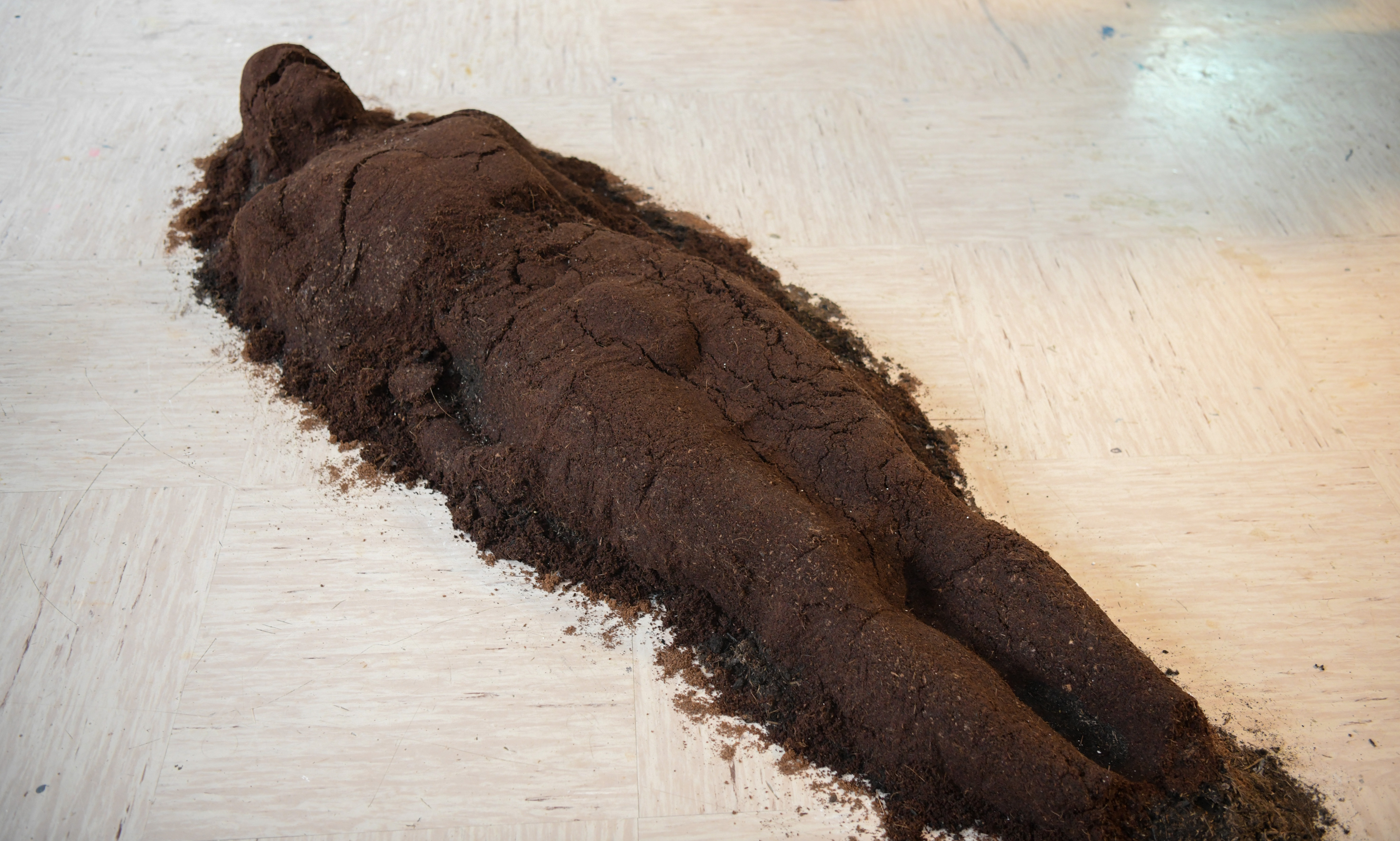 Foto: Egon Parteli/N1