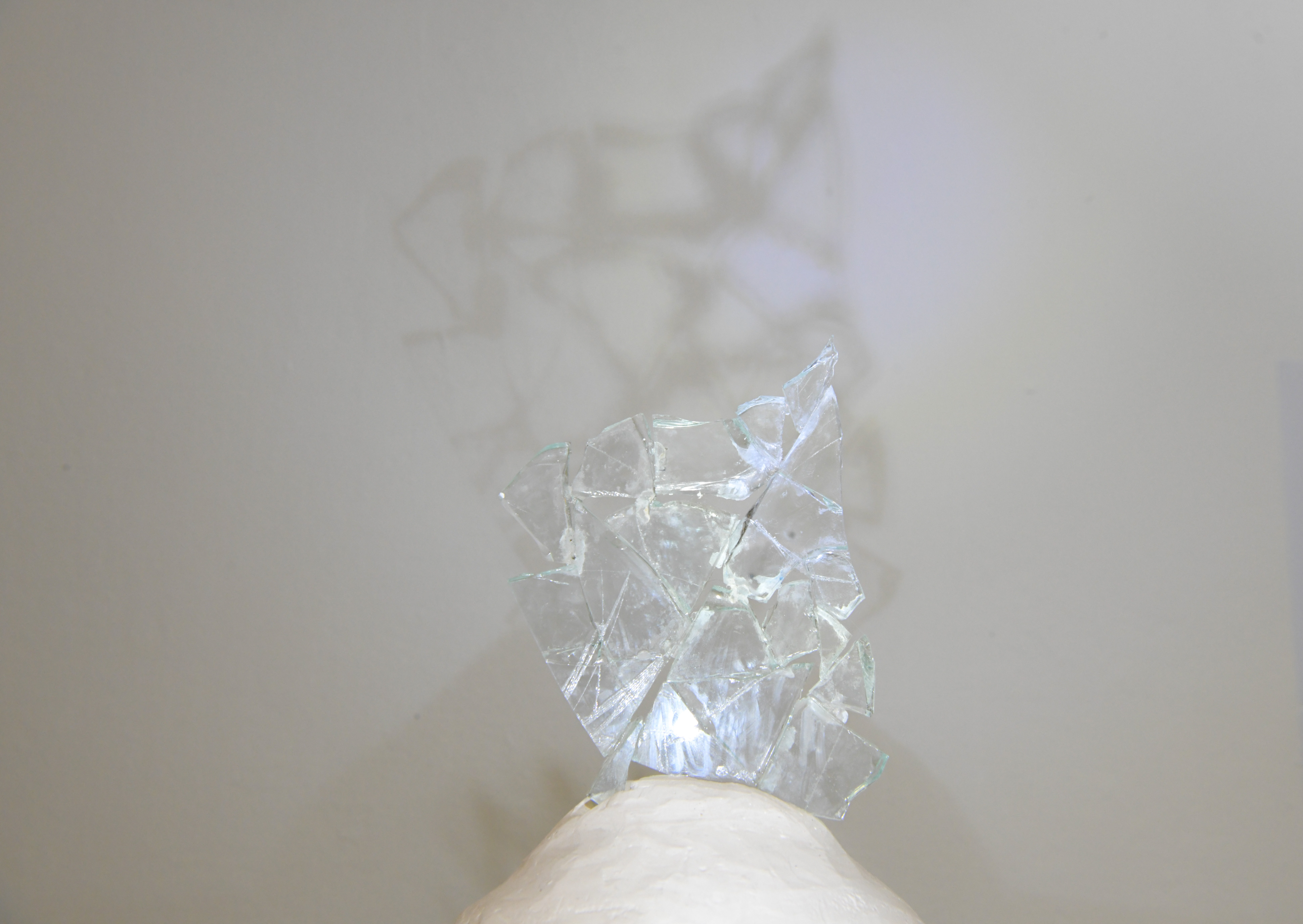 Foto: Egon Parteli/N1