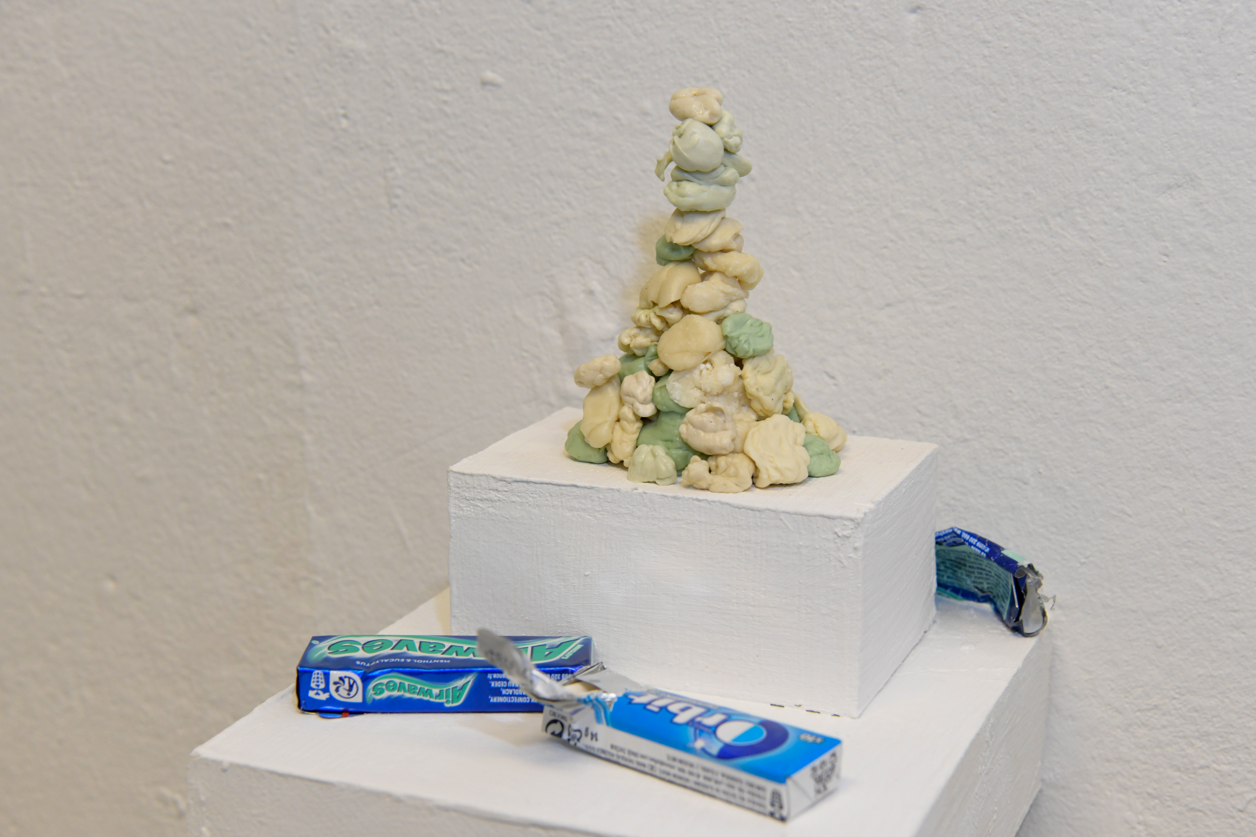 Foto: Egon Parteli/N1