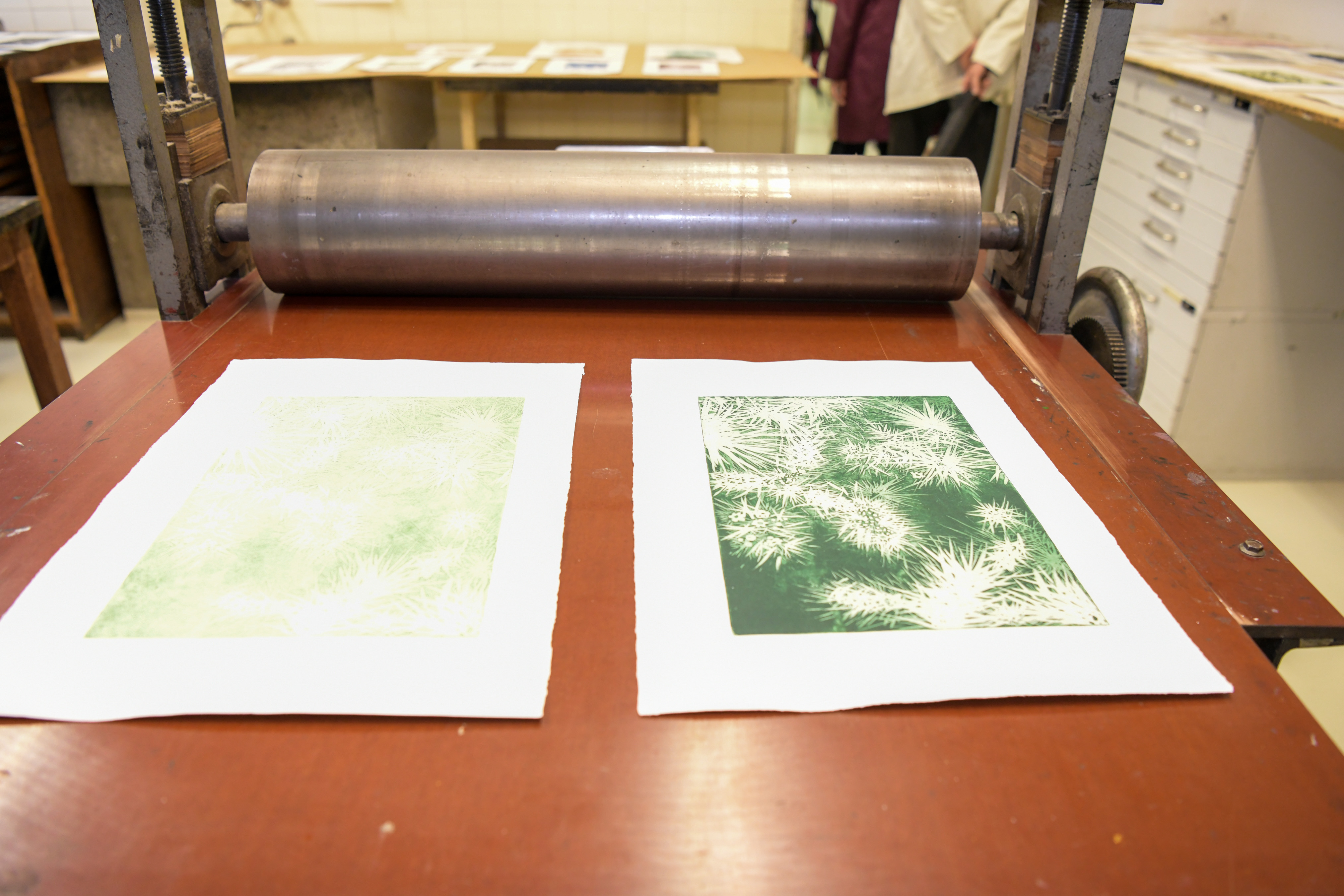 Foto: Egon Parteli/N1