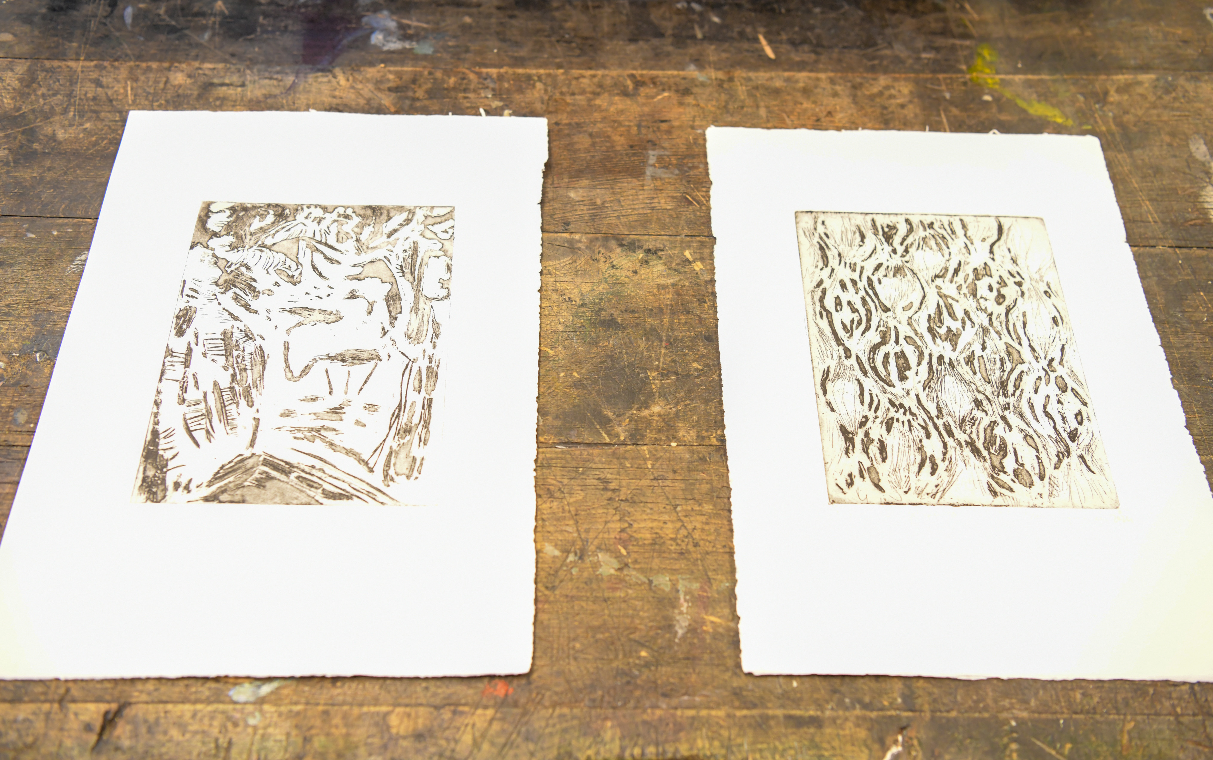 Foto: Egon Parteli/N1