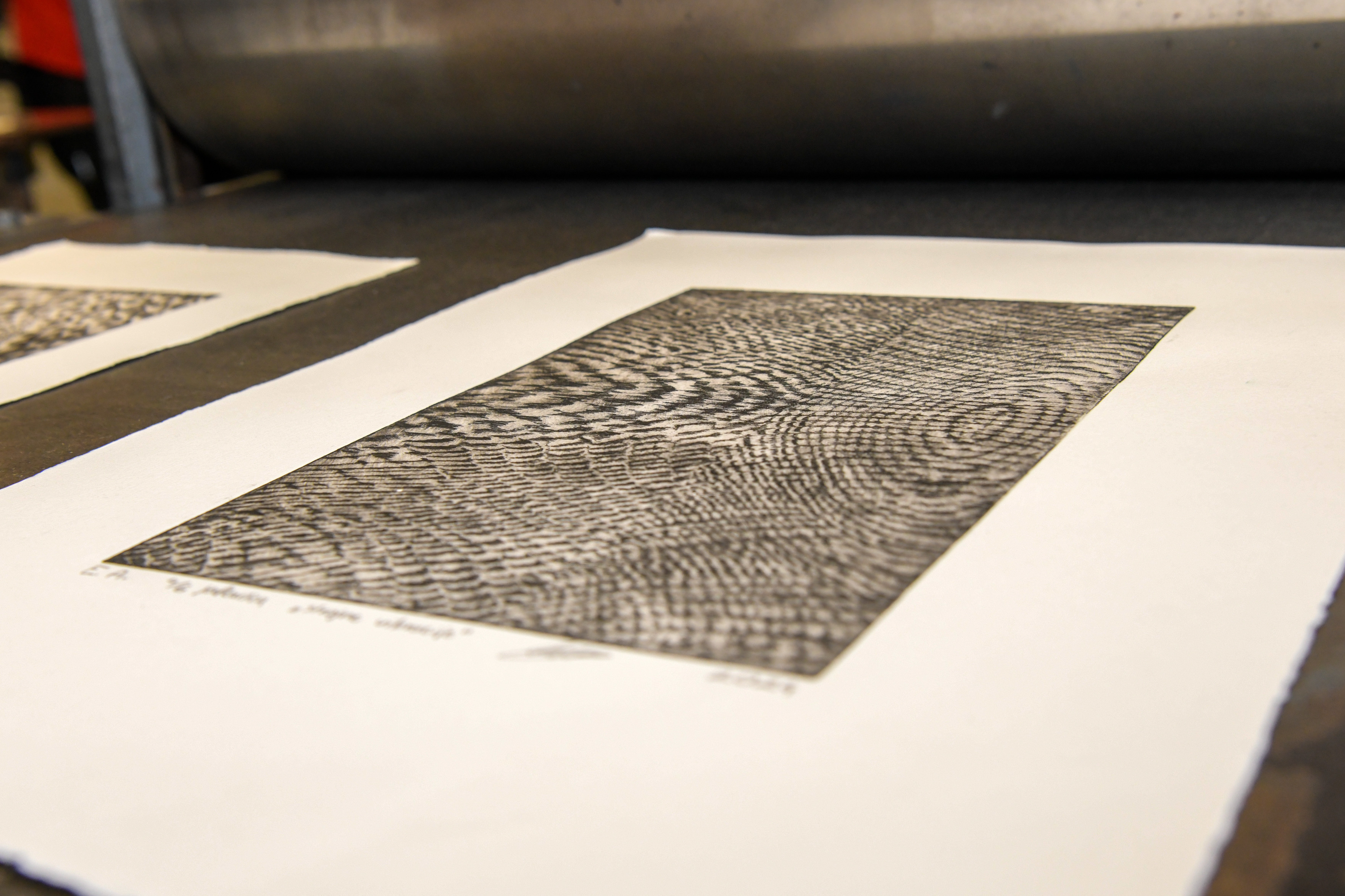 Foto: Egon Parteli/N1