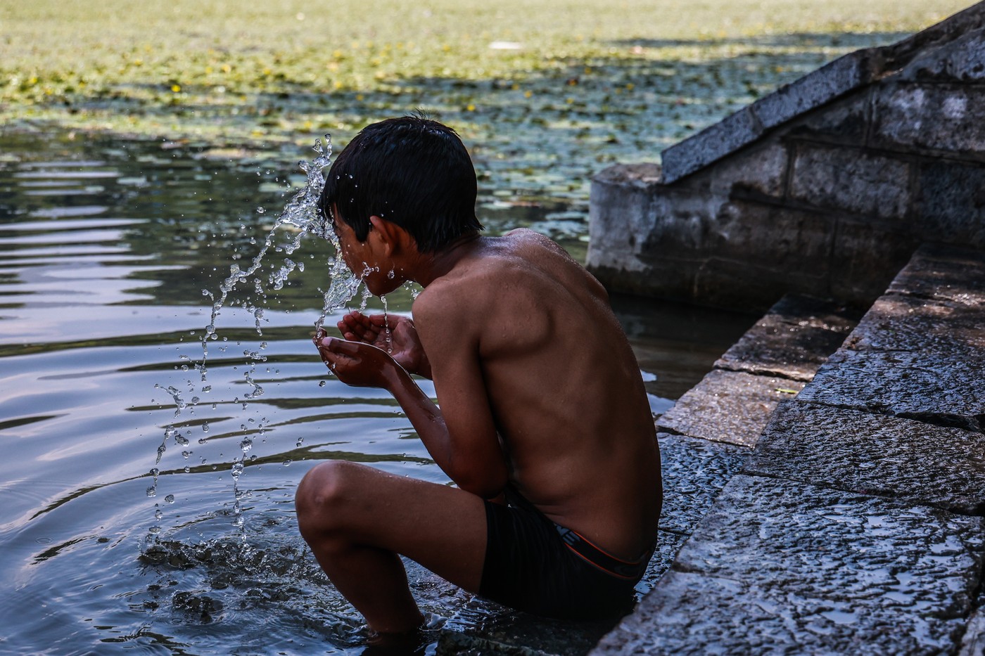 vročina, vreme, indija