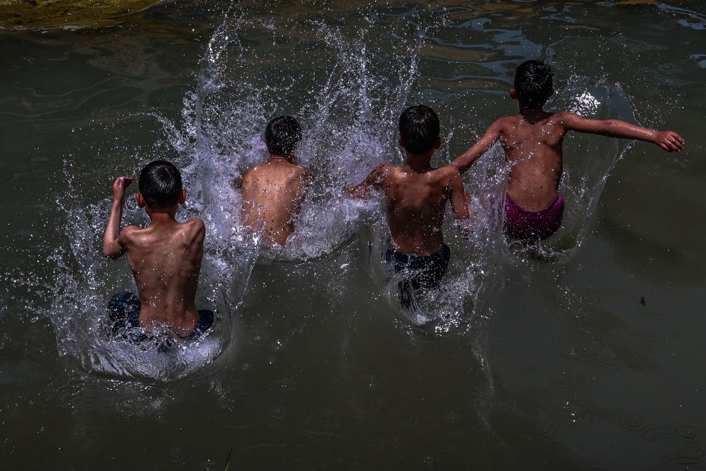 vročina, vreme, indija