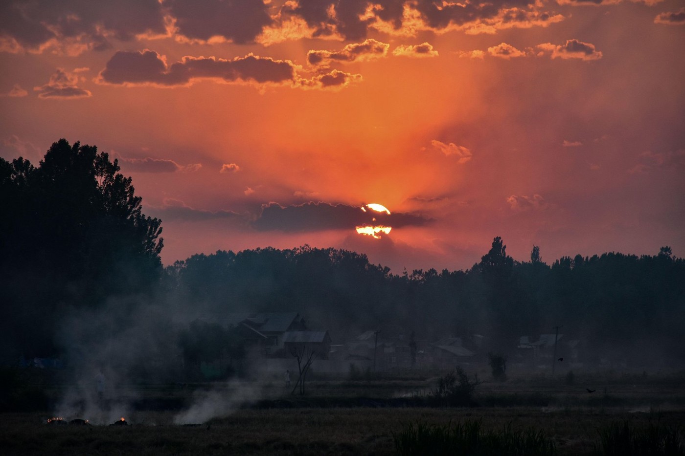 vročina, vreme, indija