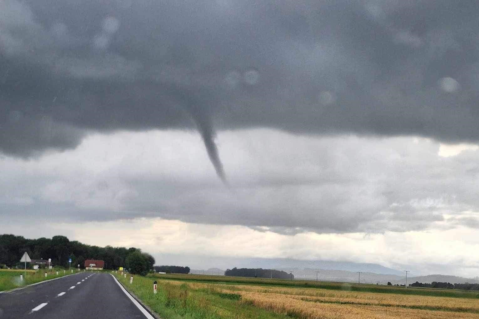 lijakast oblak, ptuj