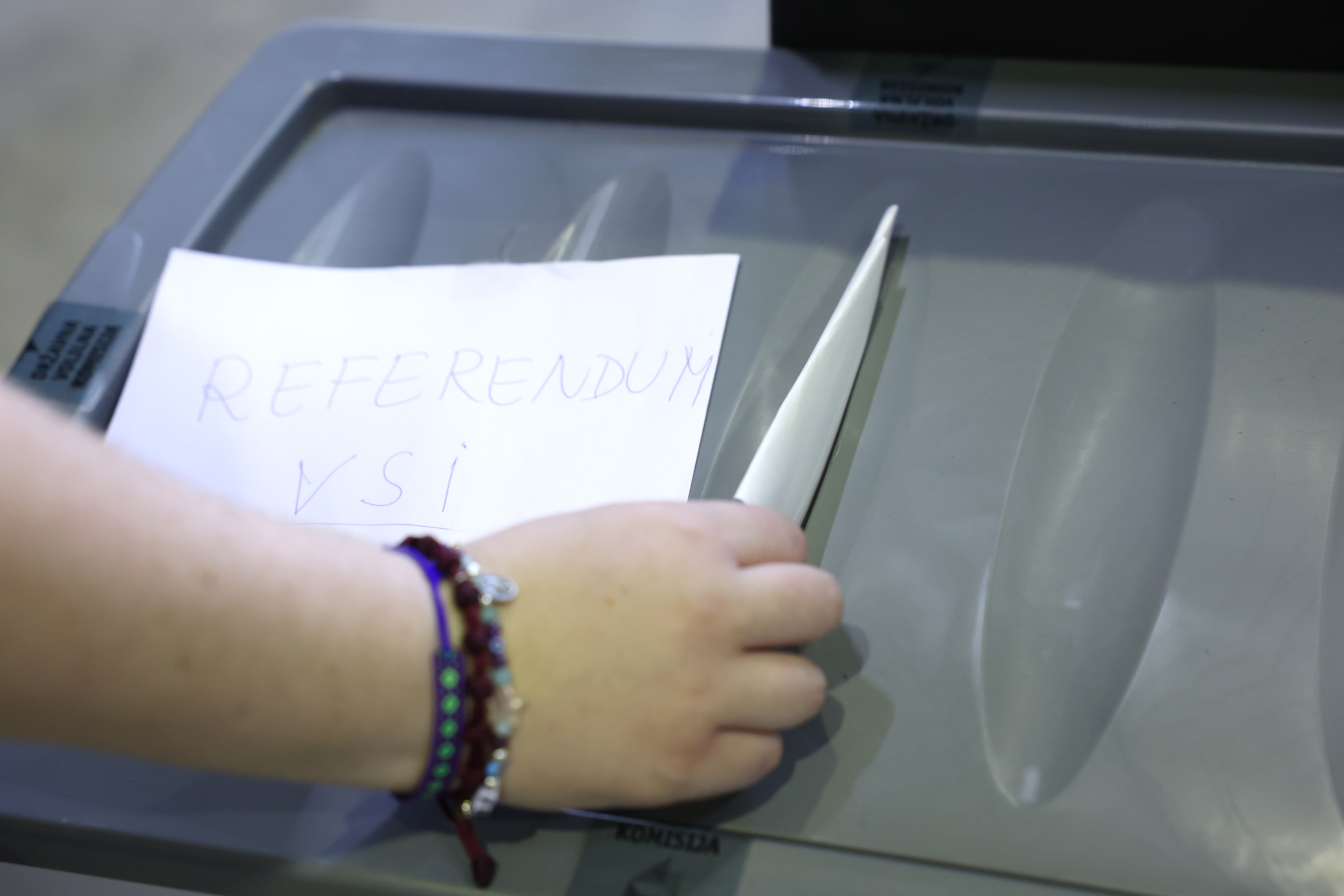 Foto: Borut Živulović/Bobo