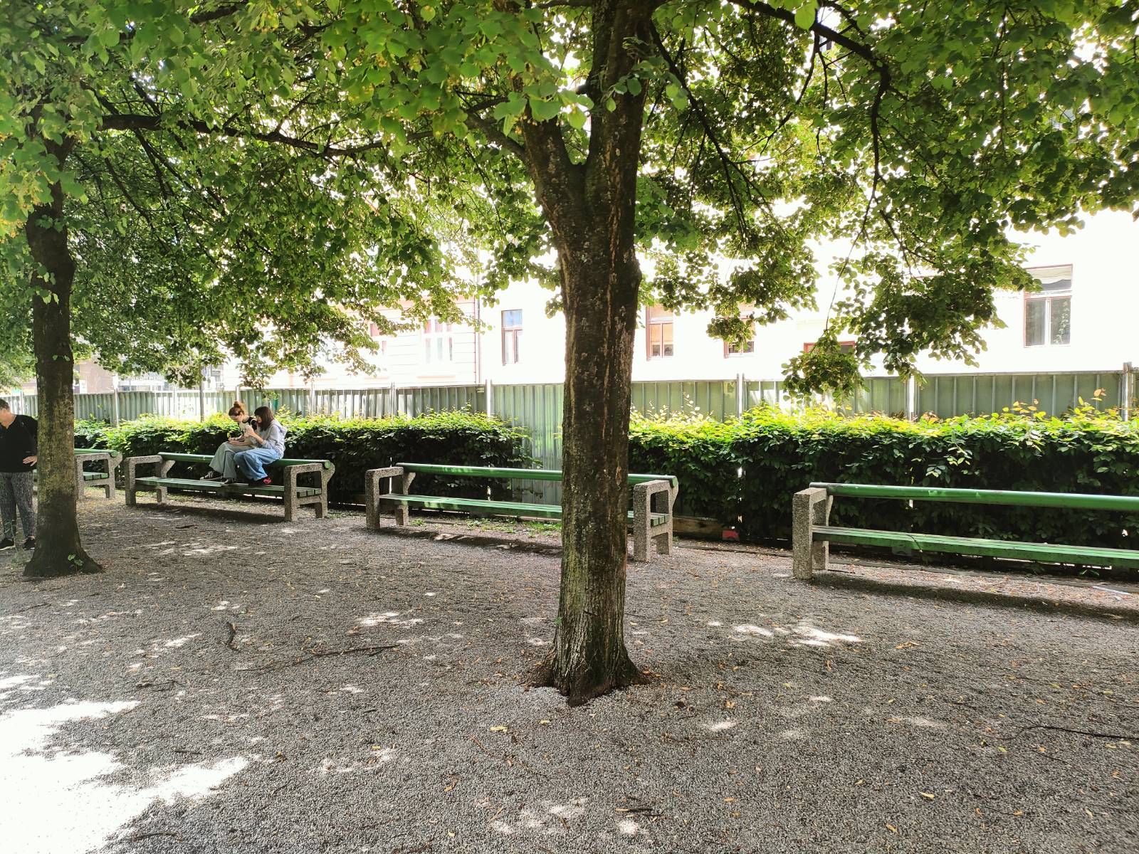 Miklošičev park, deratizacija