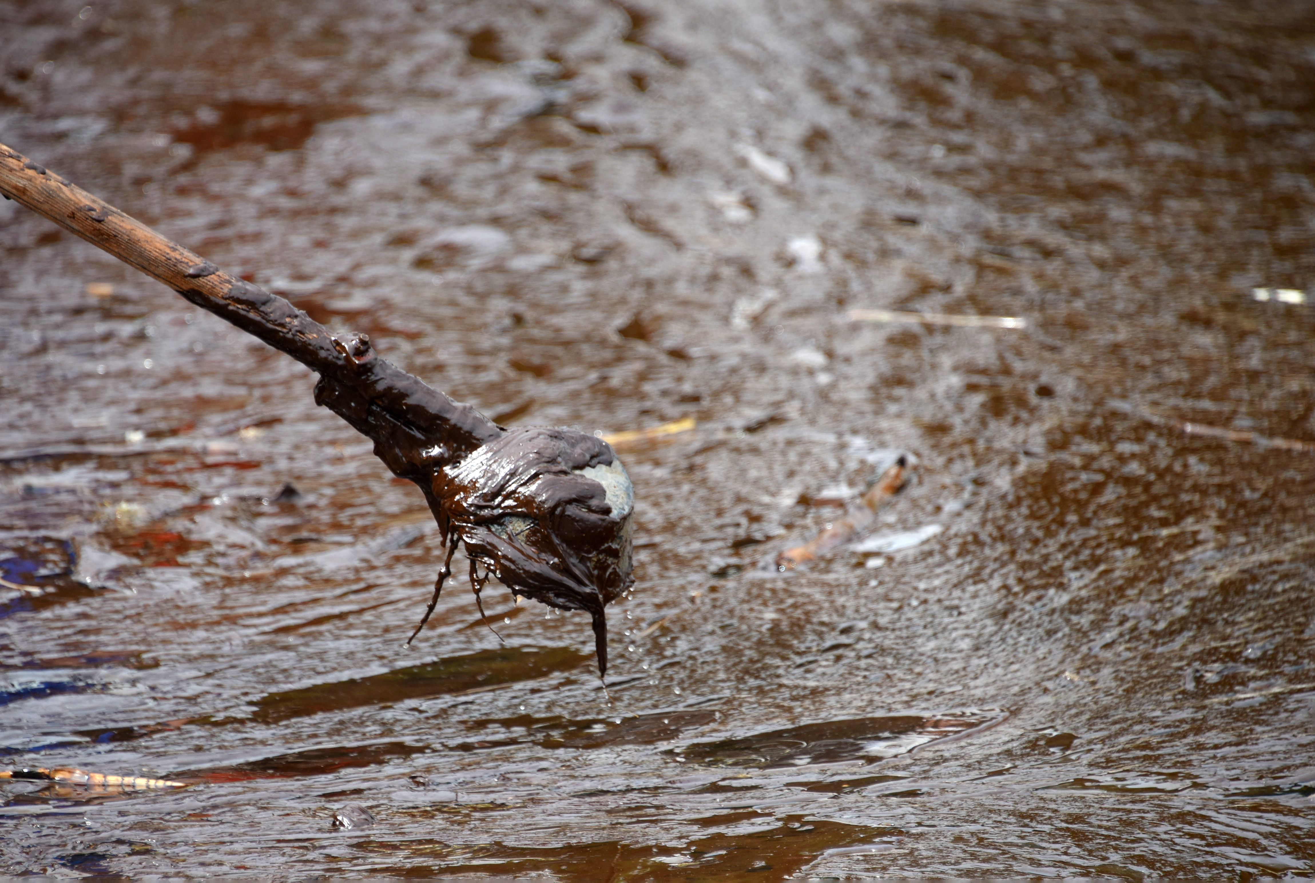 Foto: Sasa Miljevic/PIXSELL/BOBO