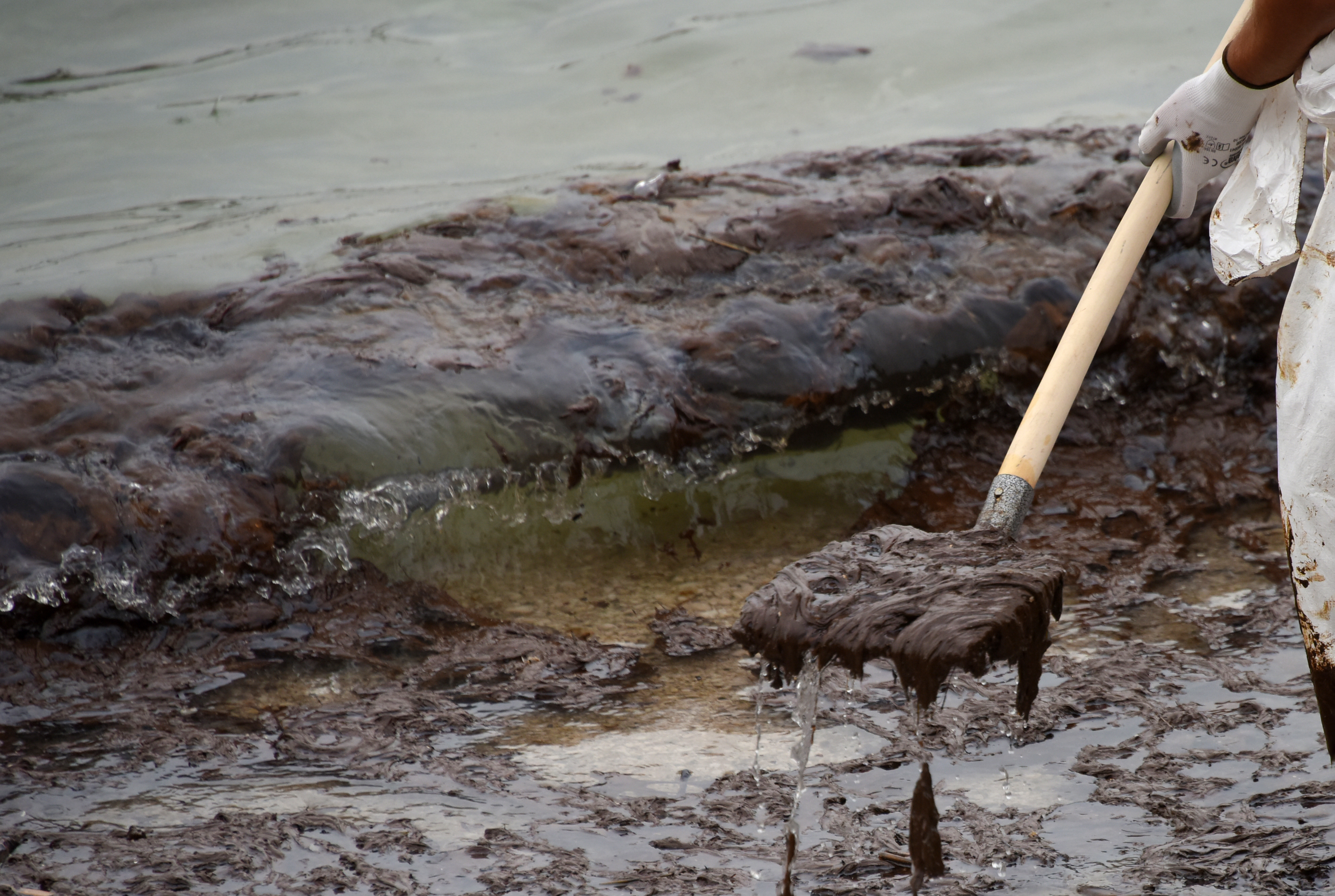 Premantura, oljni madež, nafta, Istra