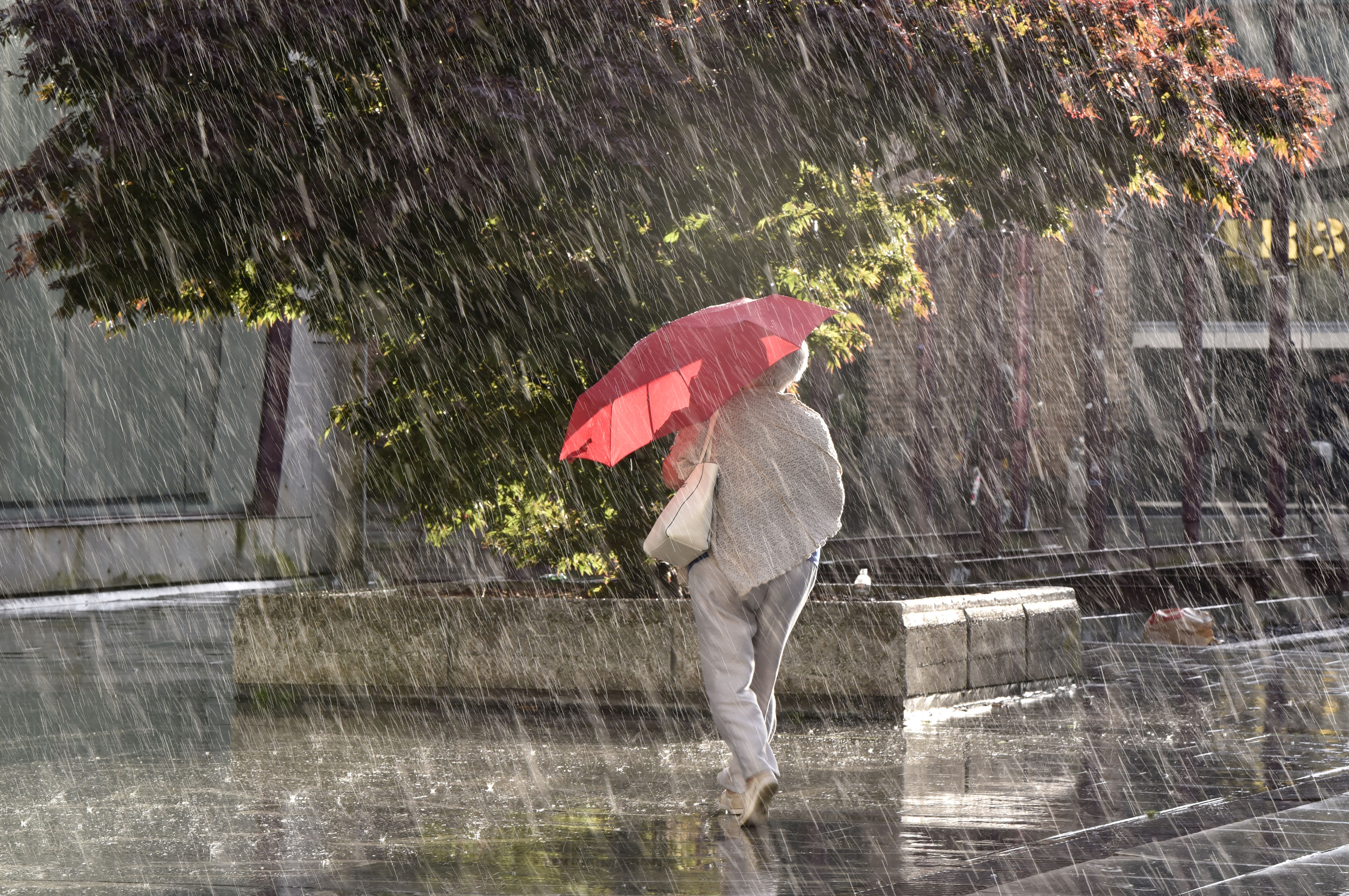 Nevihta, dež, ljudje, ljubljana