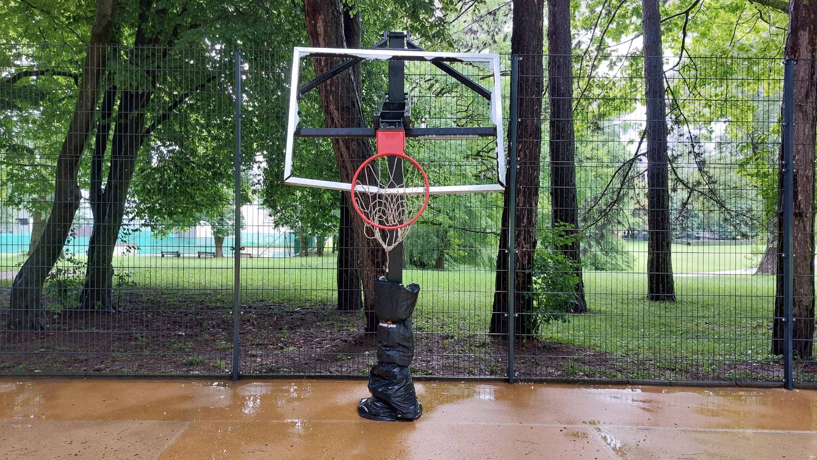 Foto: Husmir Deljanin/N1