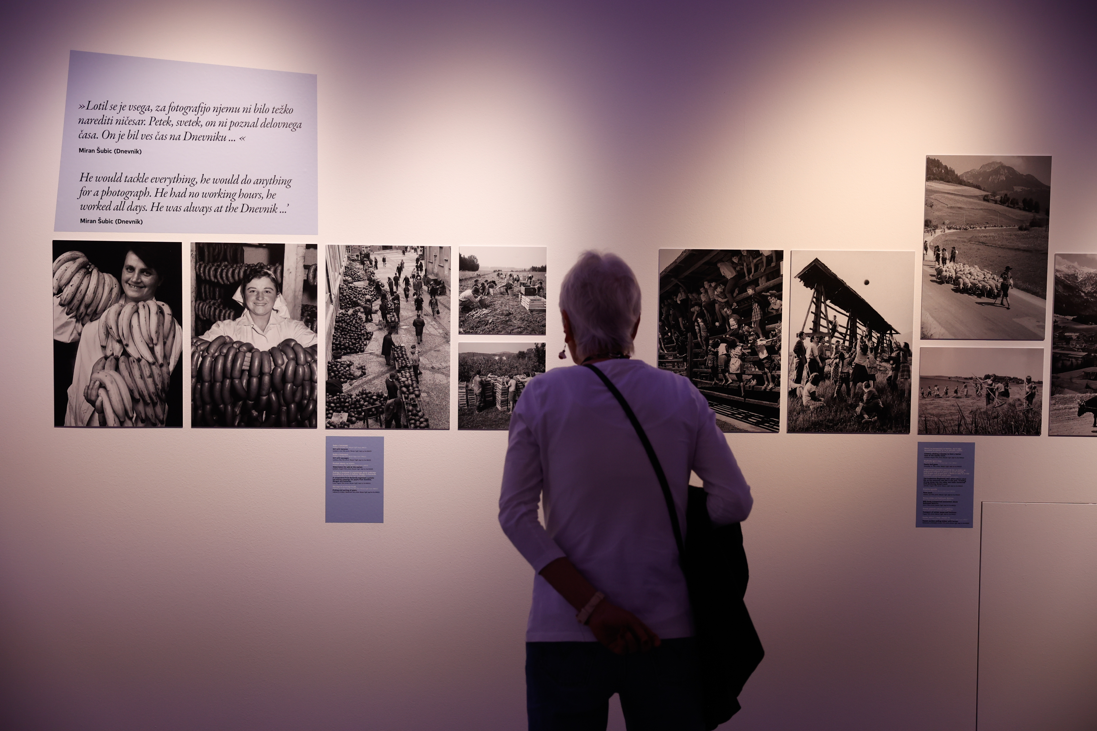 Razstava ob 100. obletnici rojstva Marjana Cigliča (Foto: Nik Rovan/ BOBO)