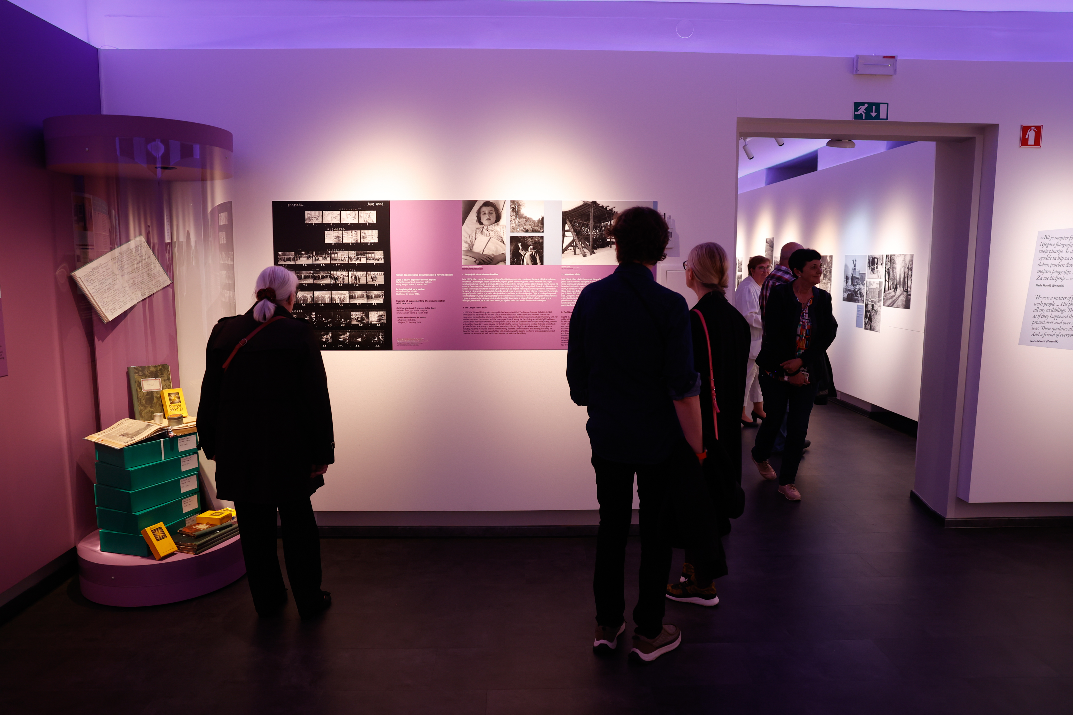 Razstava ob 100. obletnici rojstva Marjana Cigliča (Foto: Nik Rovan/ BOBO)