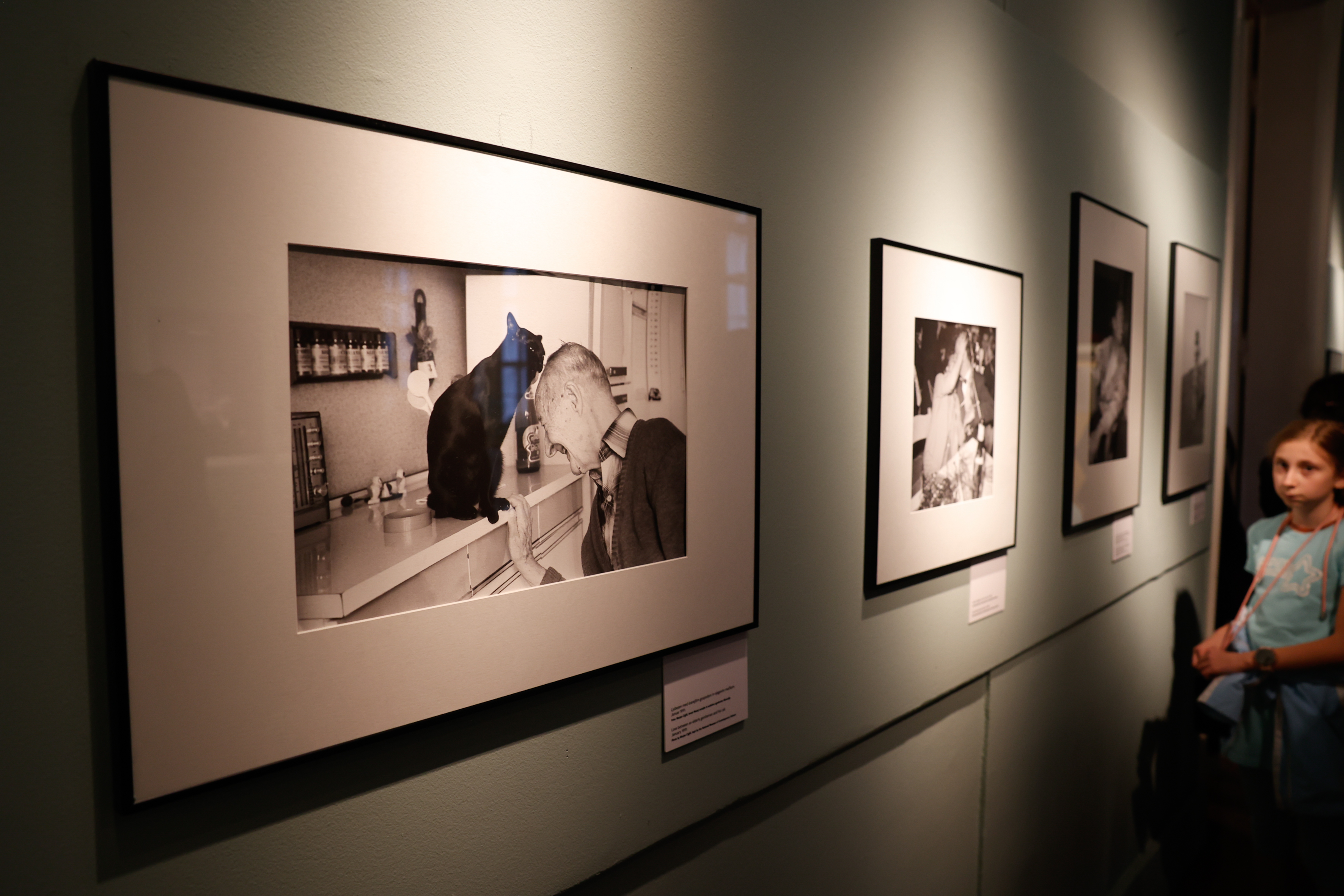 Razstava ob 100. obletnici rojstva Marjana Cigliča (Foto: Nik Rovan/ BOBO)