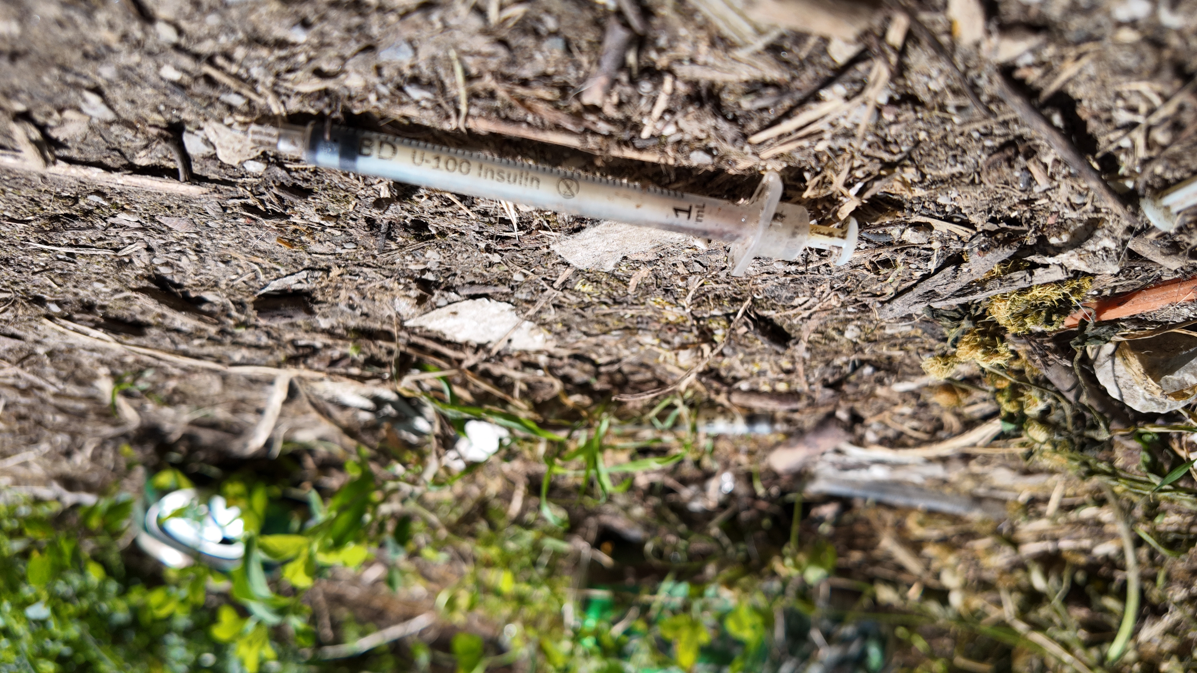 igle, droge, ljubljana