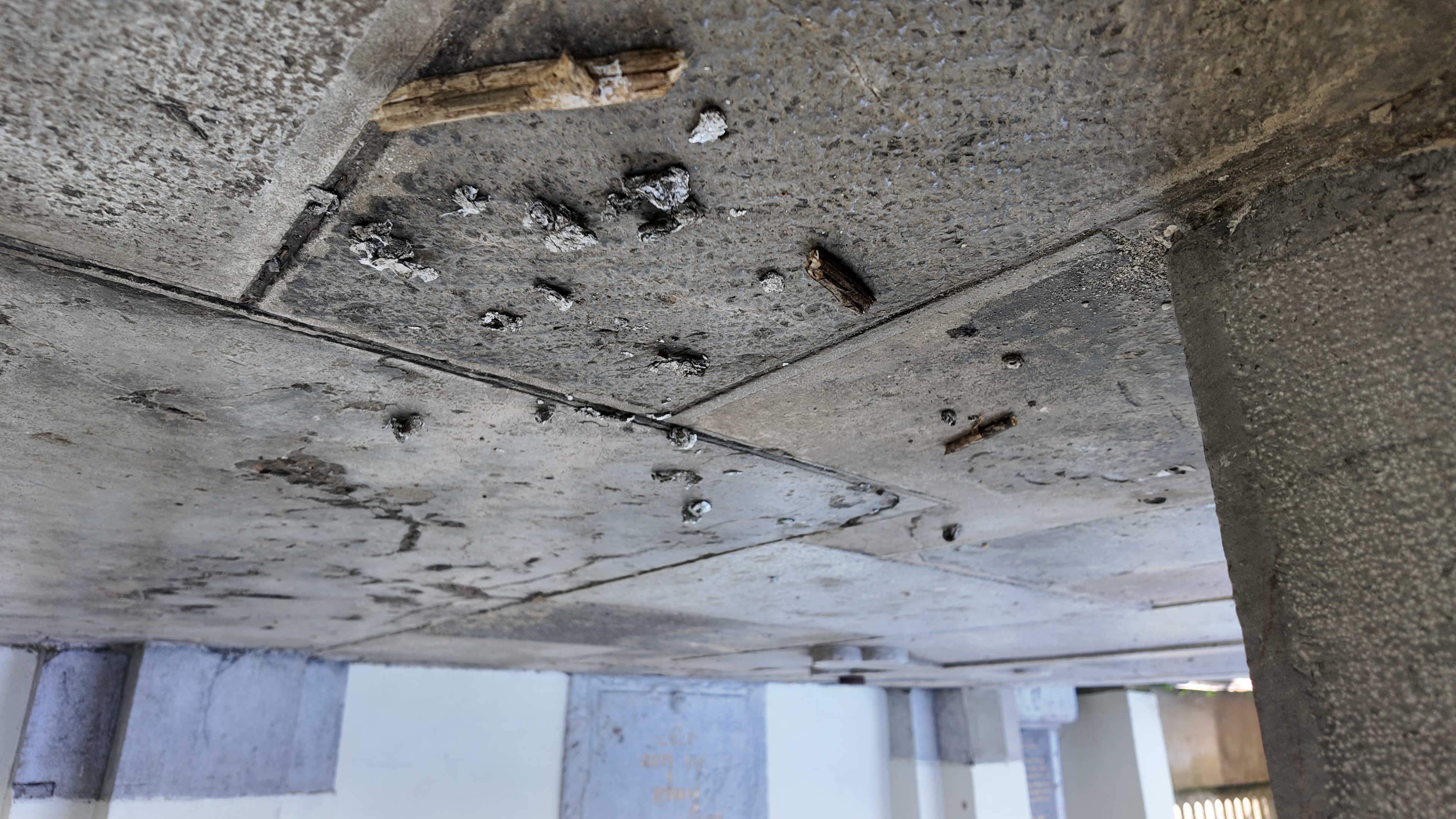 Uživanje trdih drog v Spominskem parku Navje v Ljubljani. (Foto: Denis Sadiković/N1)