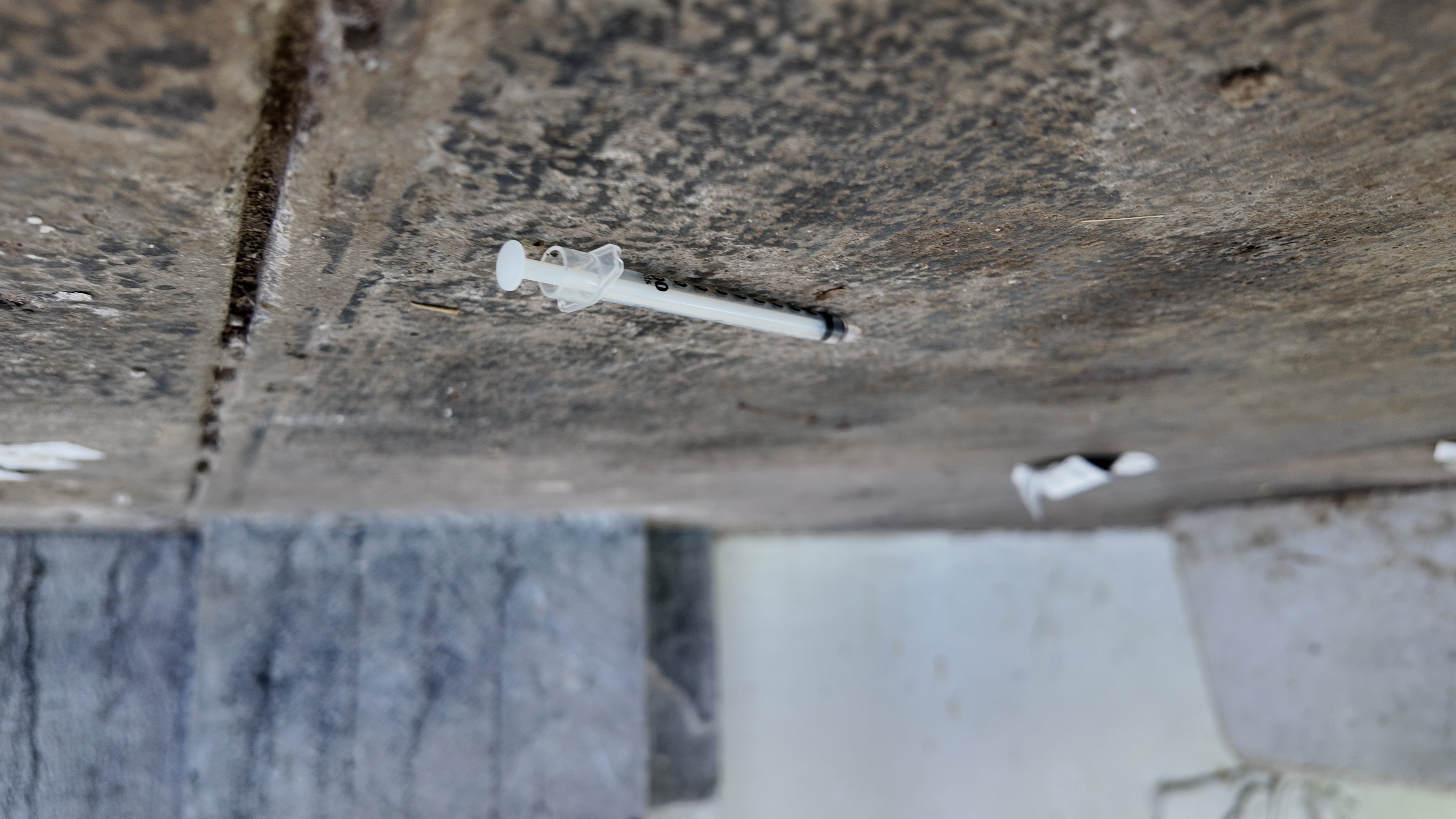 Uživanje trdih drog v Spominskem parku Navje v Ljubljani. (Foto: Denis Sadiković/N1)