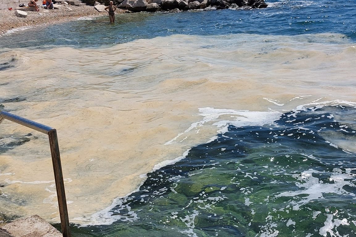 sluz, sluzenje morja, slovenska obala