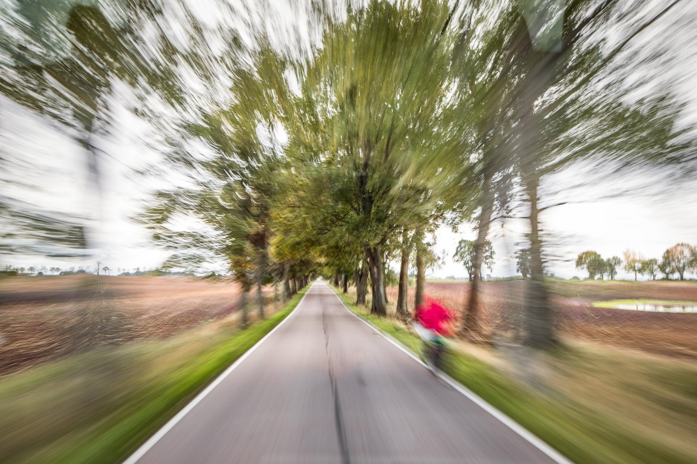 City evening lights, highway zoomed perspective blurred by high speed of the car.