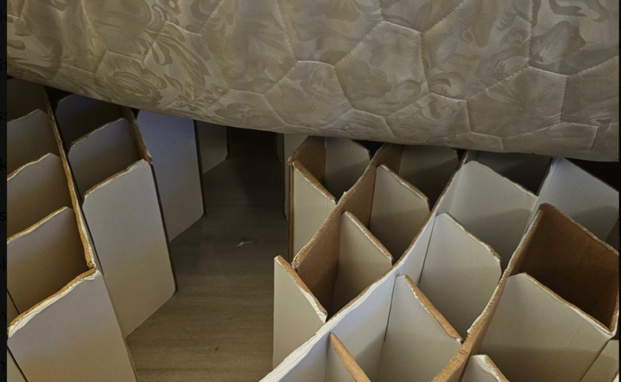 nemčija, booking, namestitev