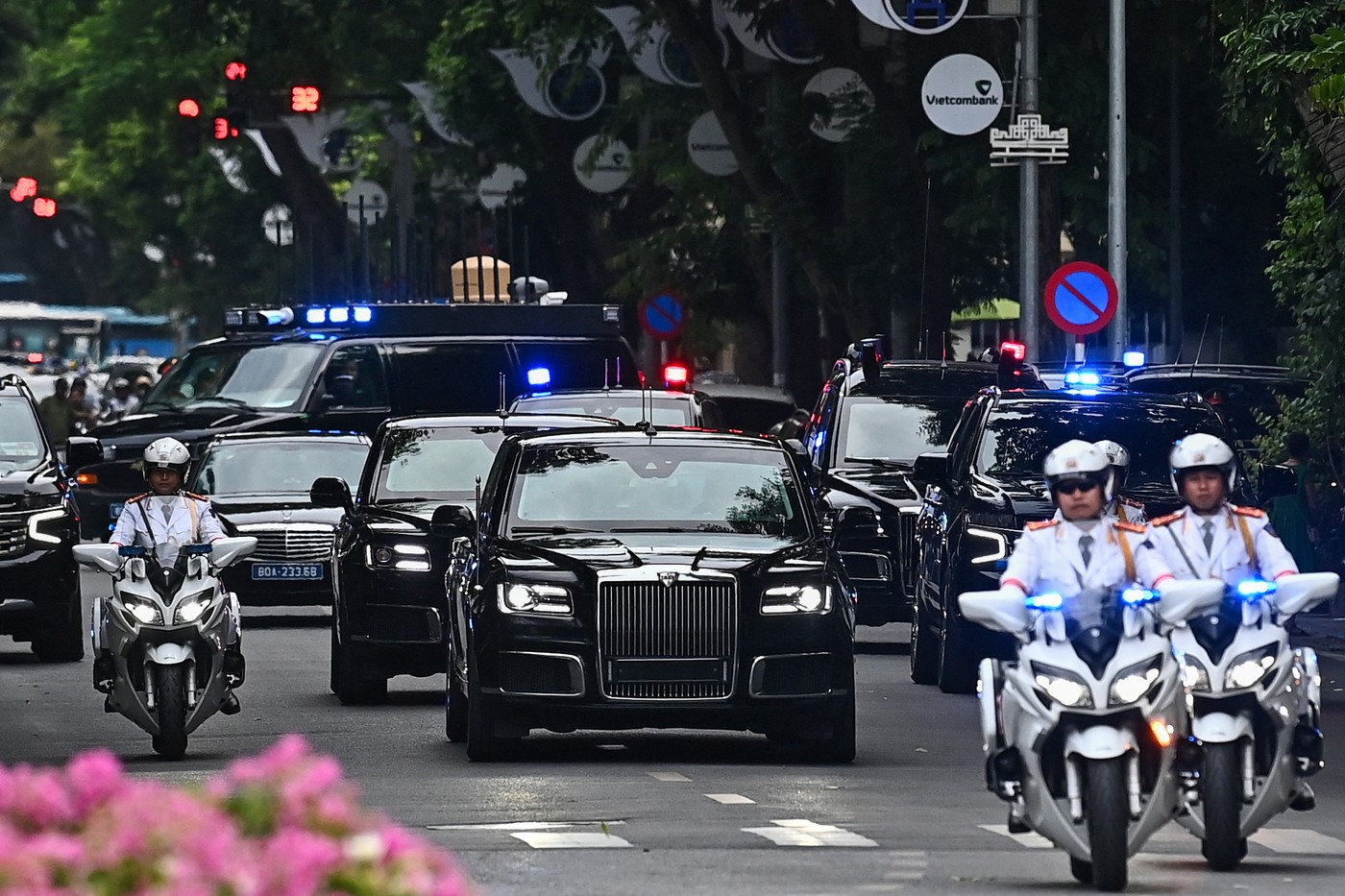 vietnam, vladimir puin