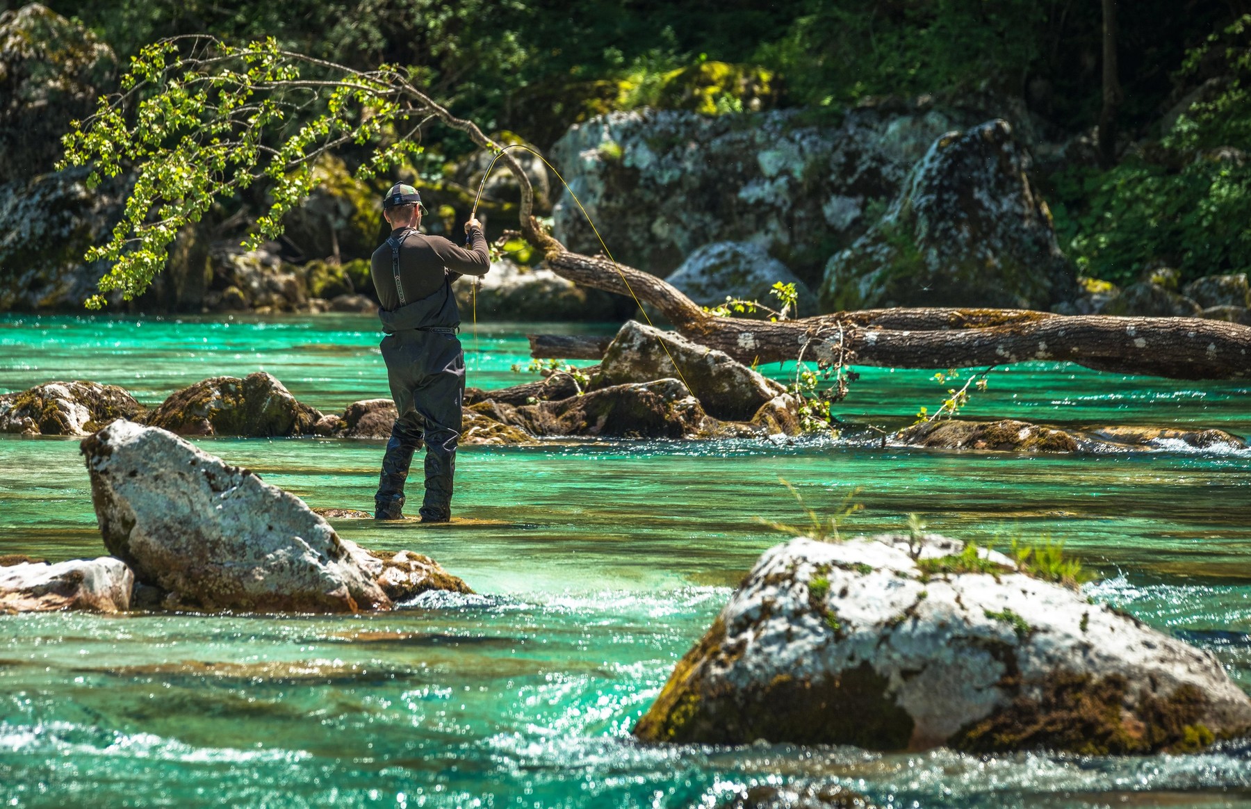 ribič, Soča, reka