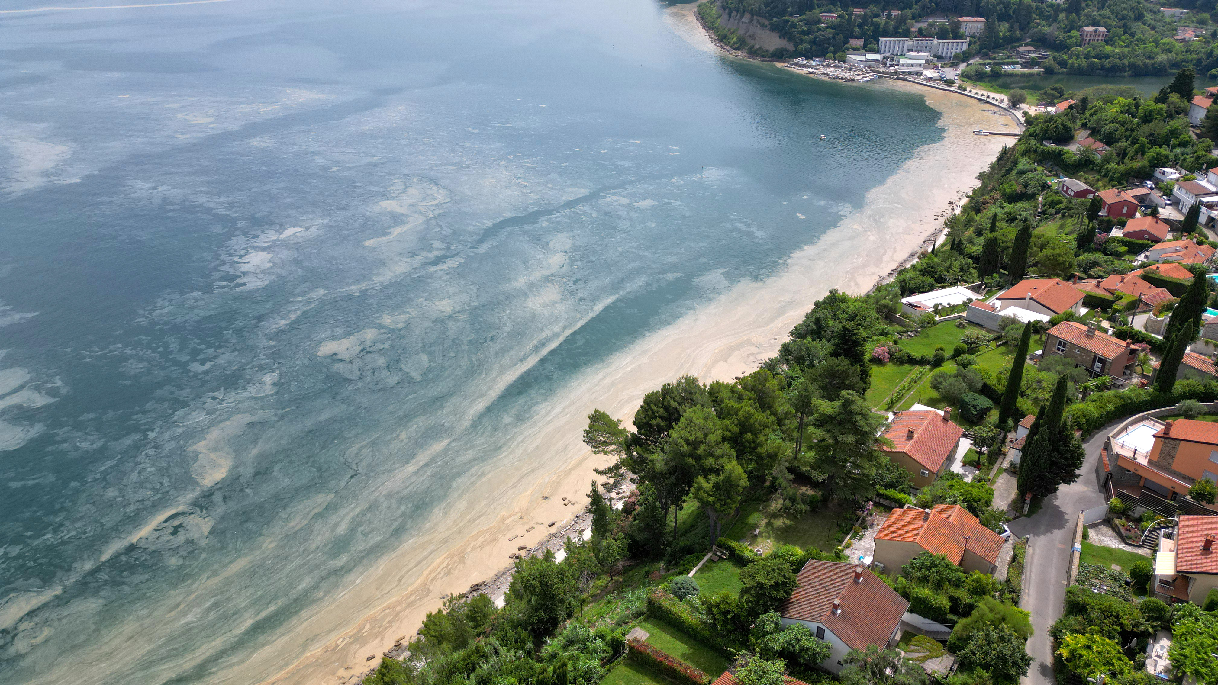 Foto: Goran Rovan/BOBO