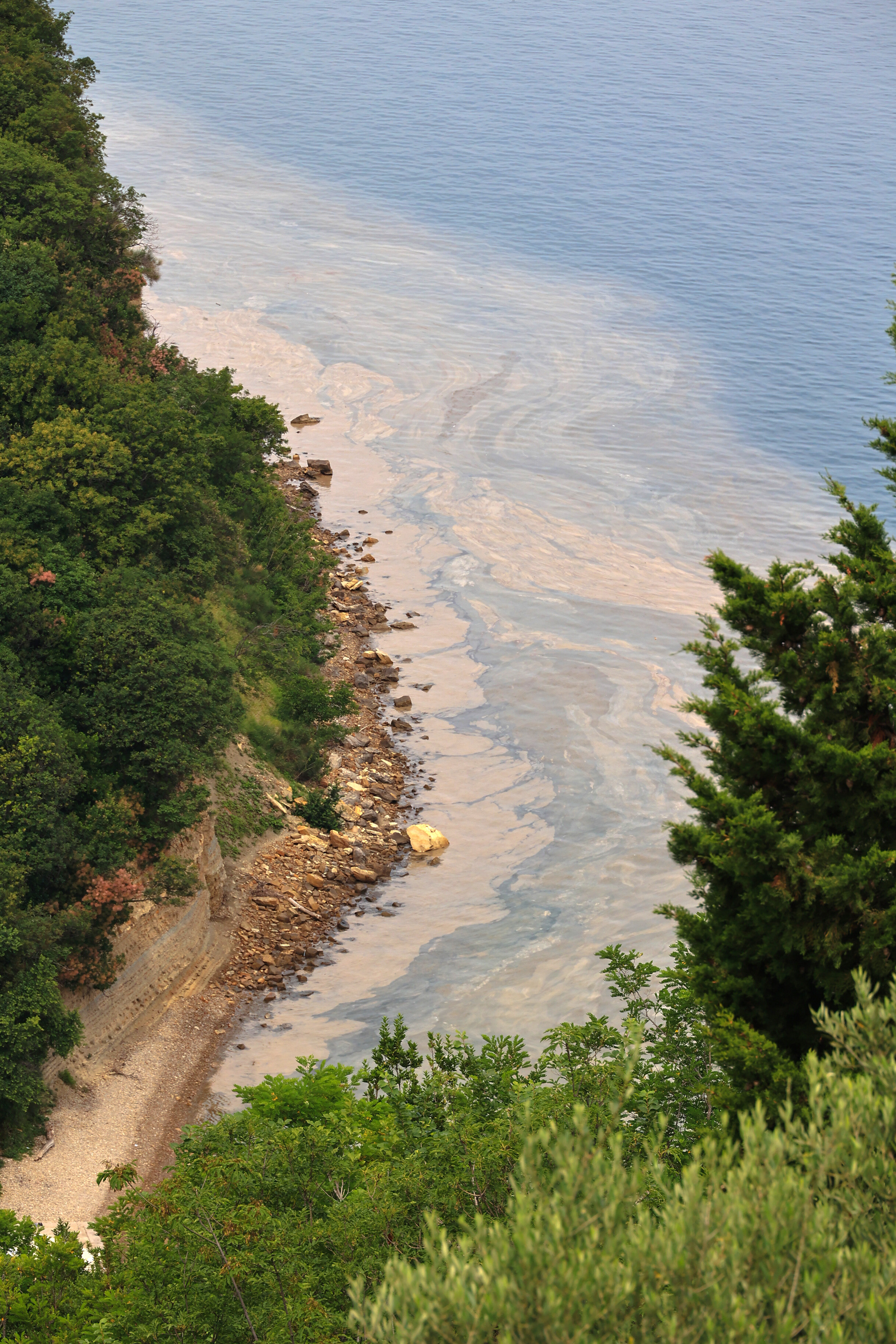 Foto: Goran Rovan/BOBO