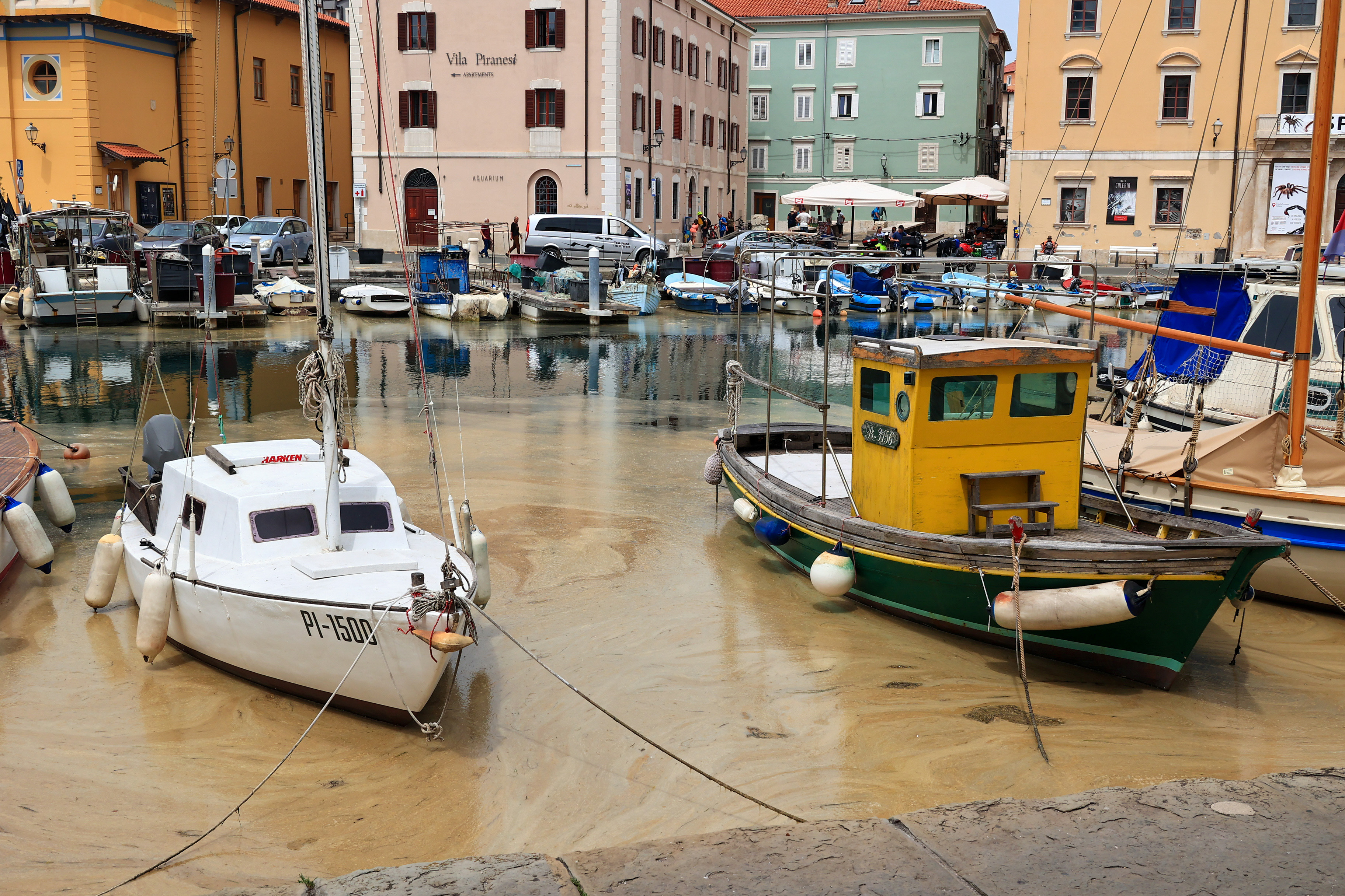 Foto: Goran Rovan/BOBO