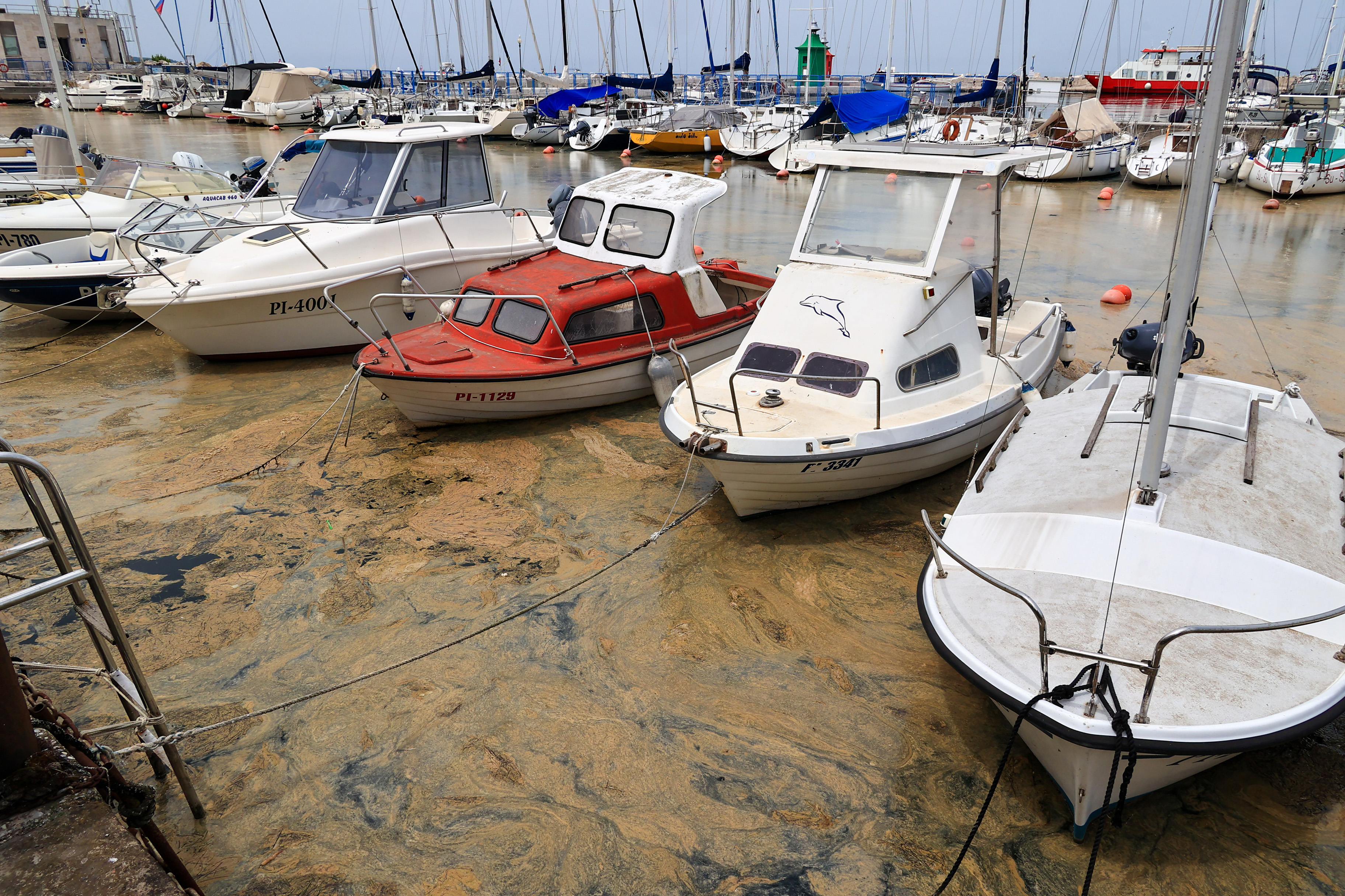 Foto: Goran Rovan/BOBO