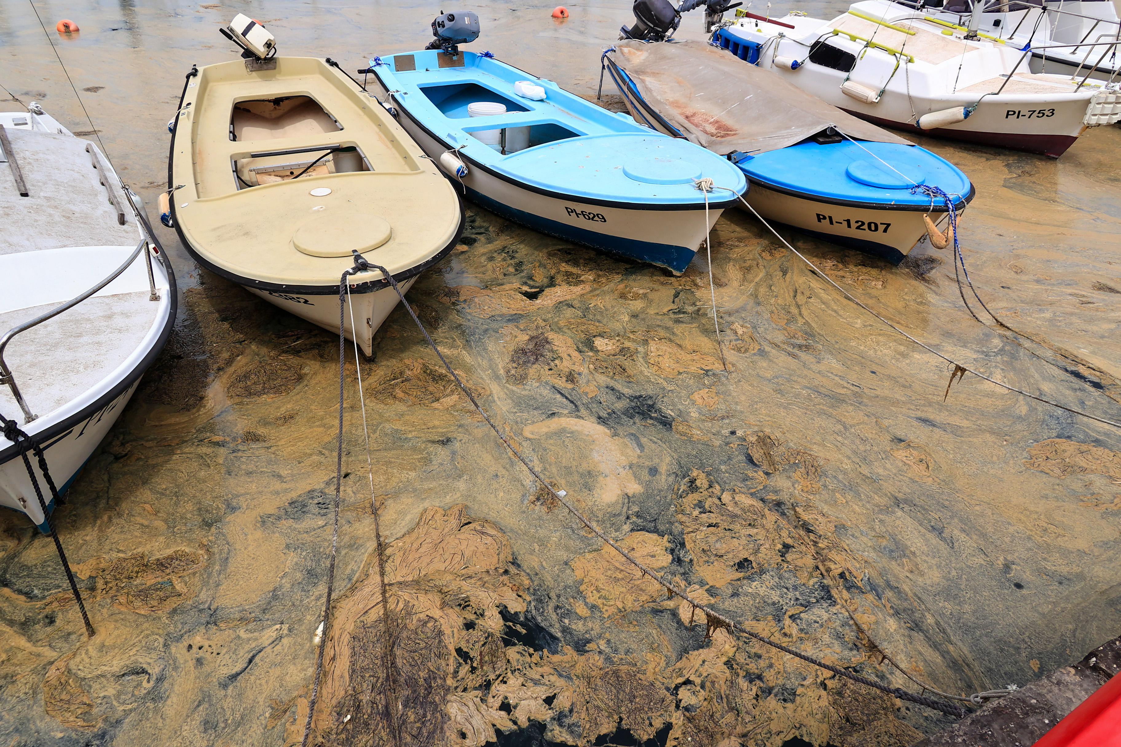 Foto: Goran Rovan/BOBO