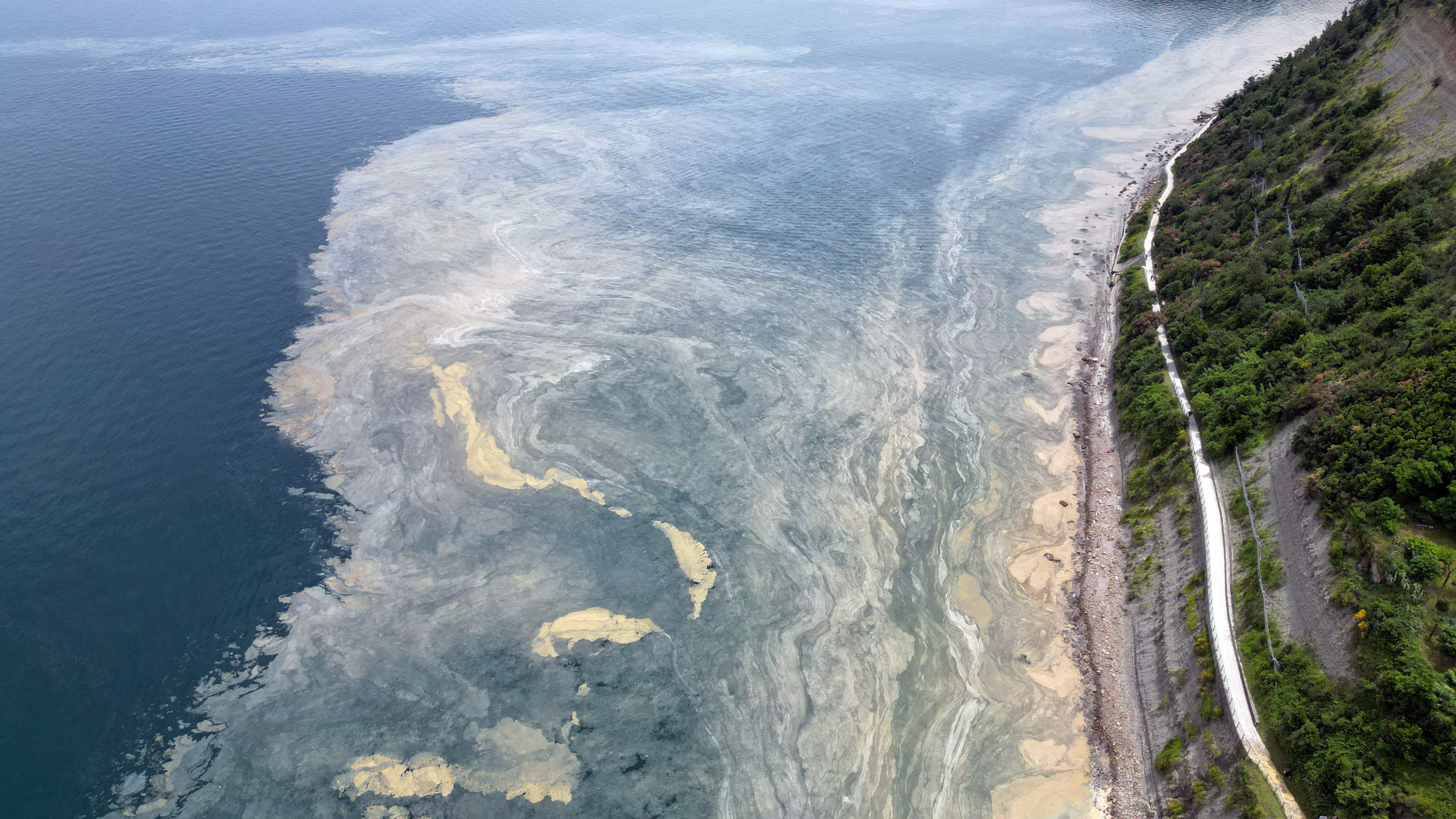 Foto: Goran Rovan/BOBO