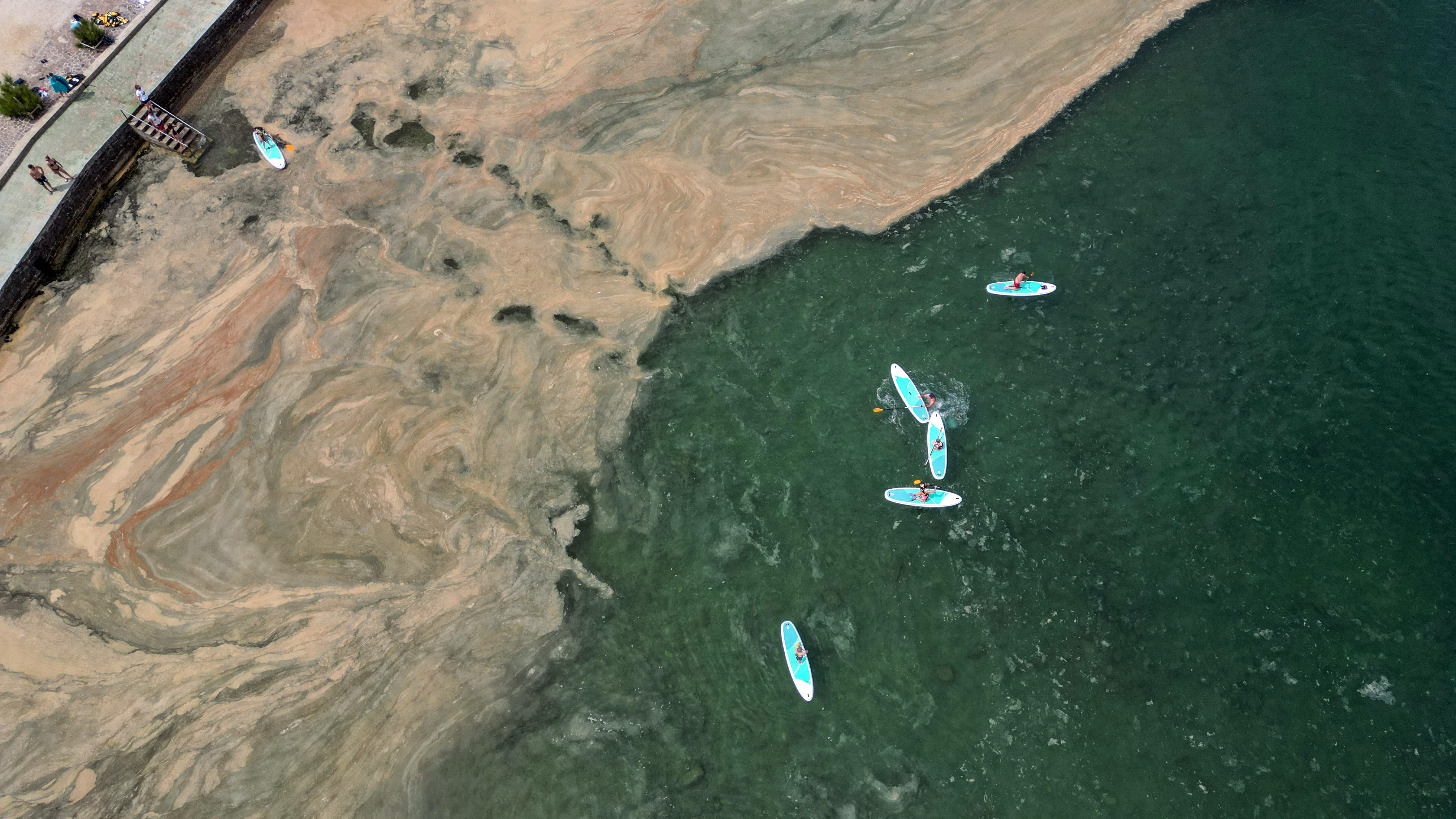 Foto: Goran Rovan/BOBO