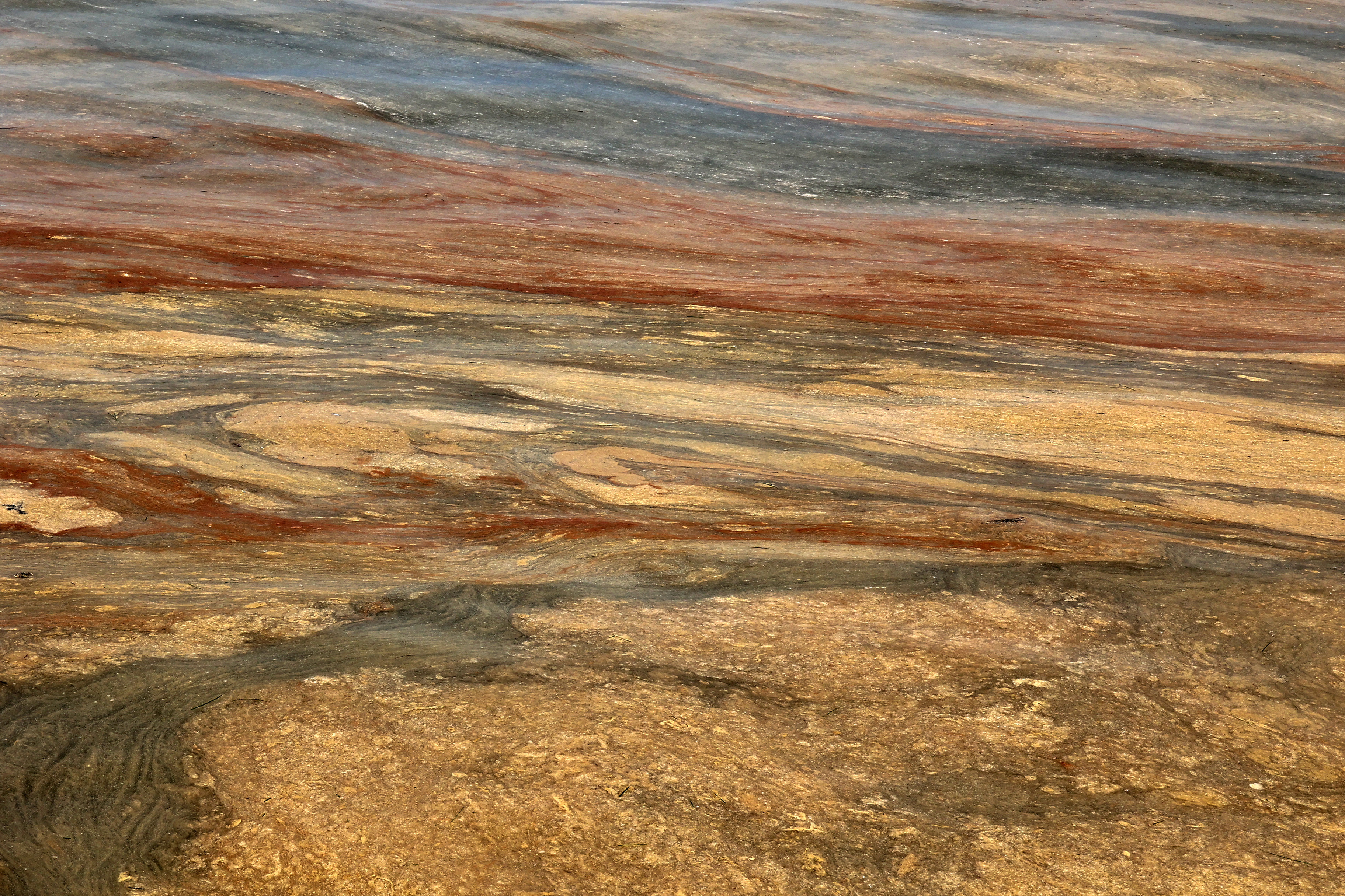 sluz, sluzenje, morja, slovenska obala