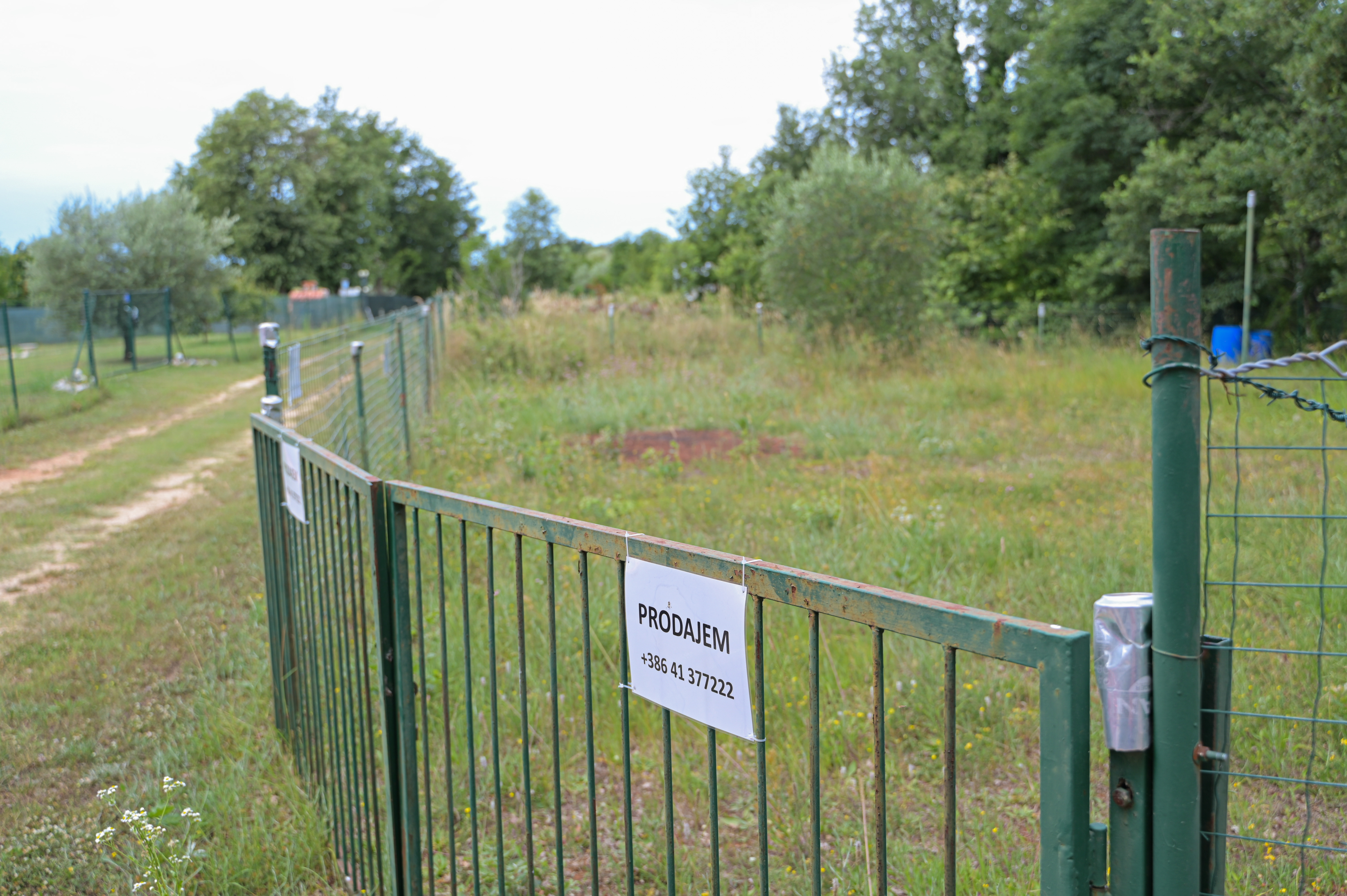 Hrvaška inšpekcija je Slovencem, ki imajo v Umagu domnevno nezakonite počitniške hišice, izdala odločbe, naj jih odstranijo. (Foto: Jan Gregorc/N1)