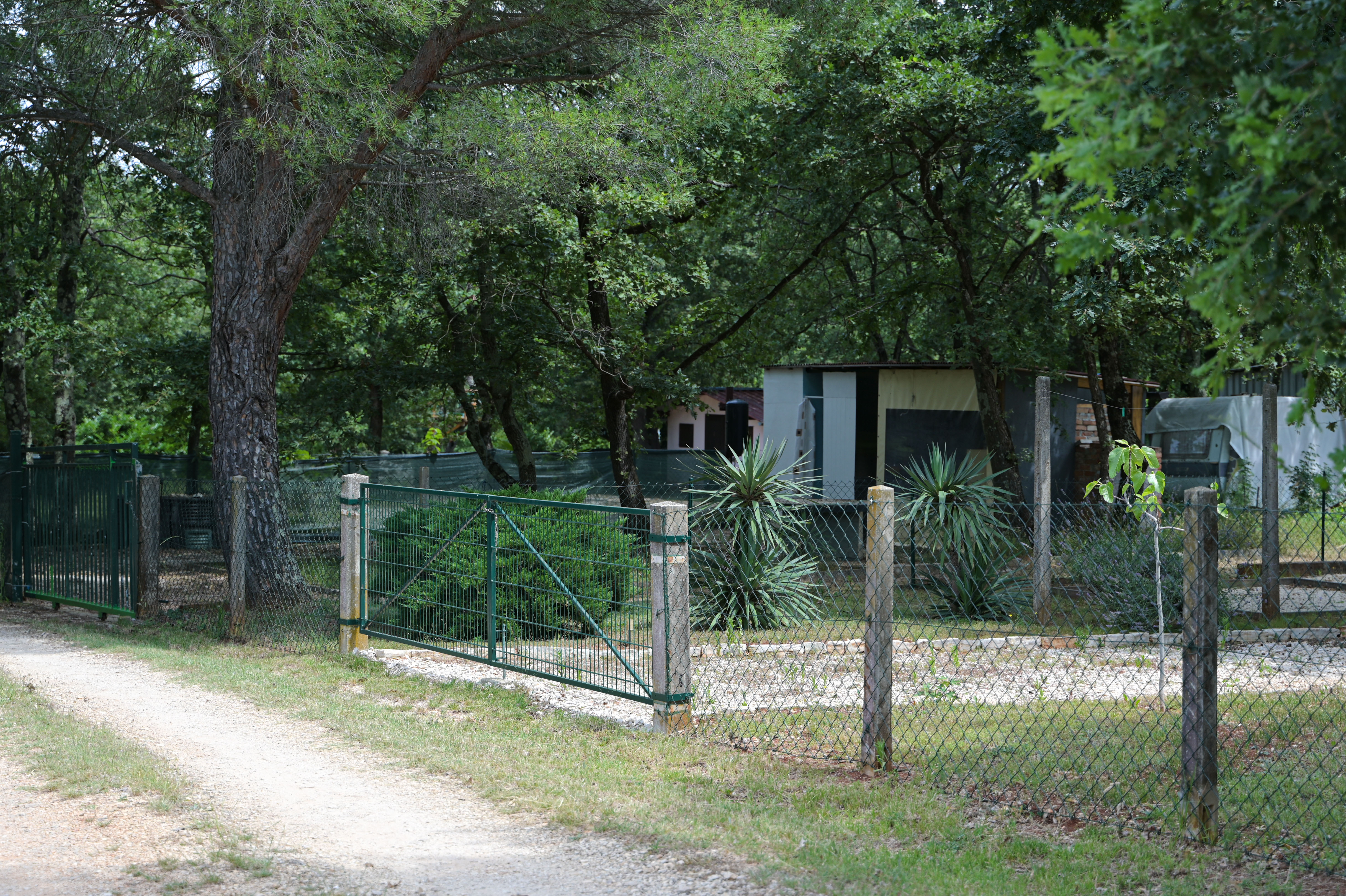 umag, istrske favele, črne gradnje, hrvaška