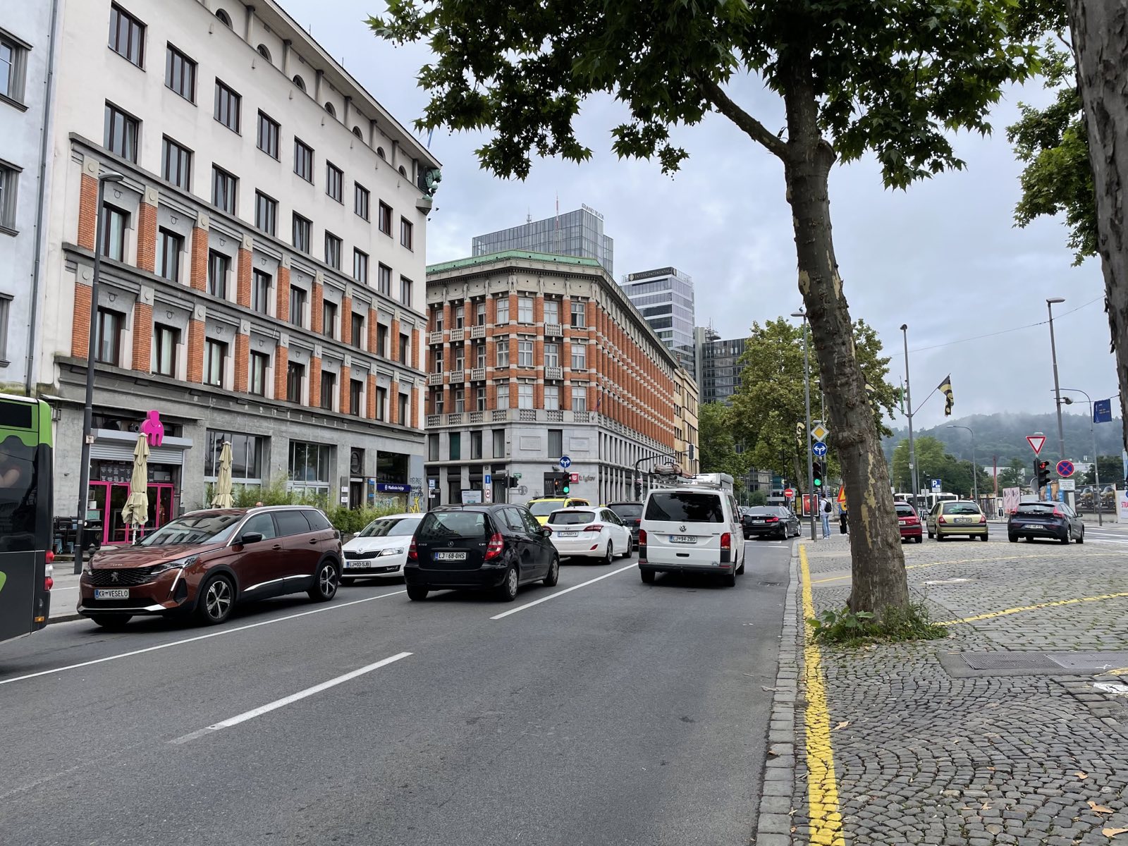 Zastoji zaradi zapore na Dunajski (Foto: N1)