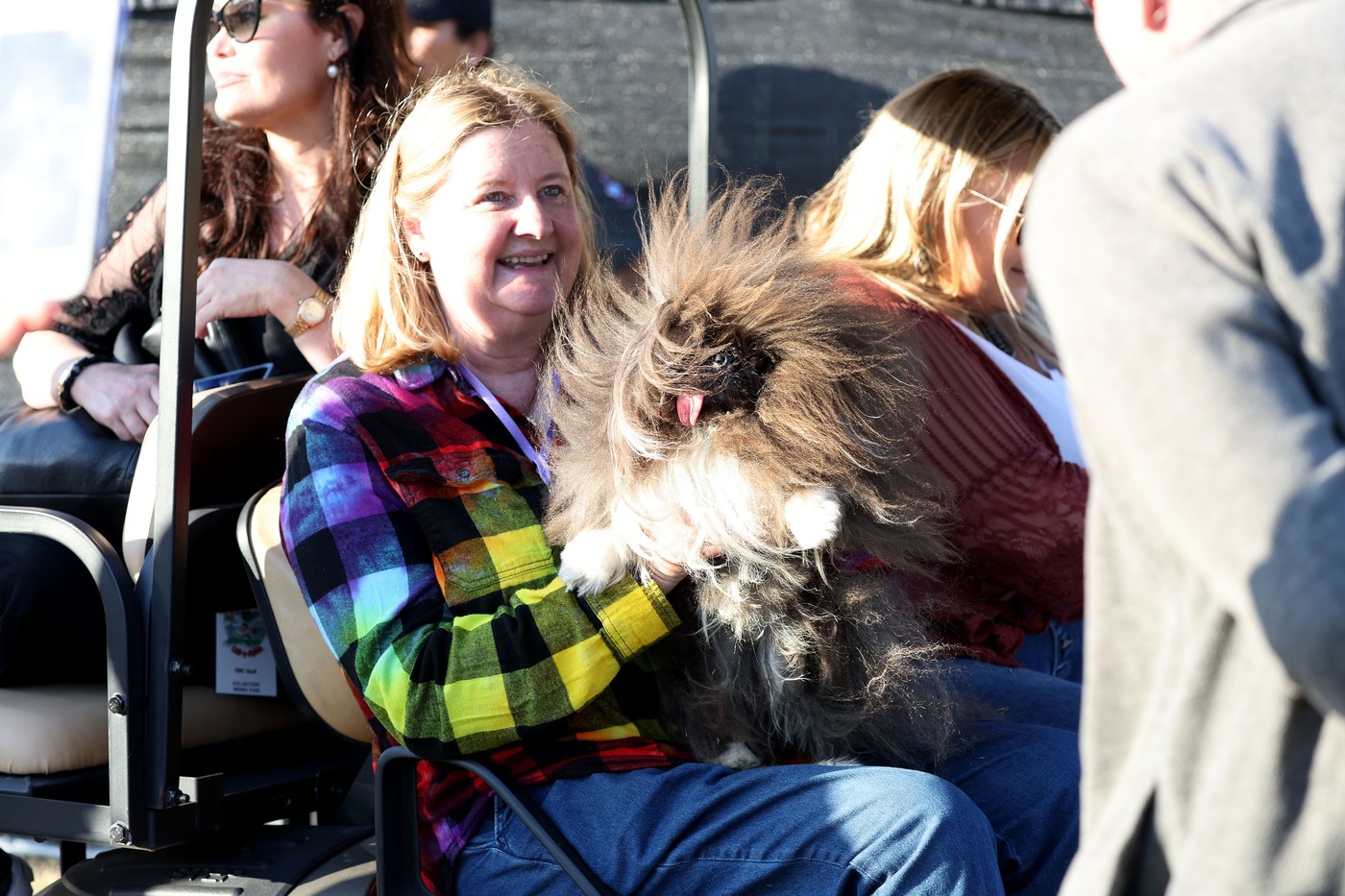 pes, grd pes, najgrši pes