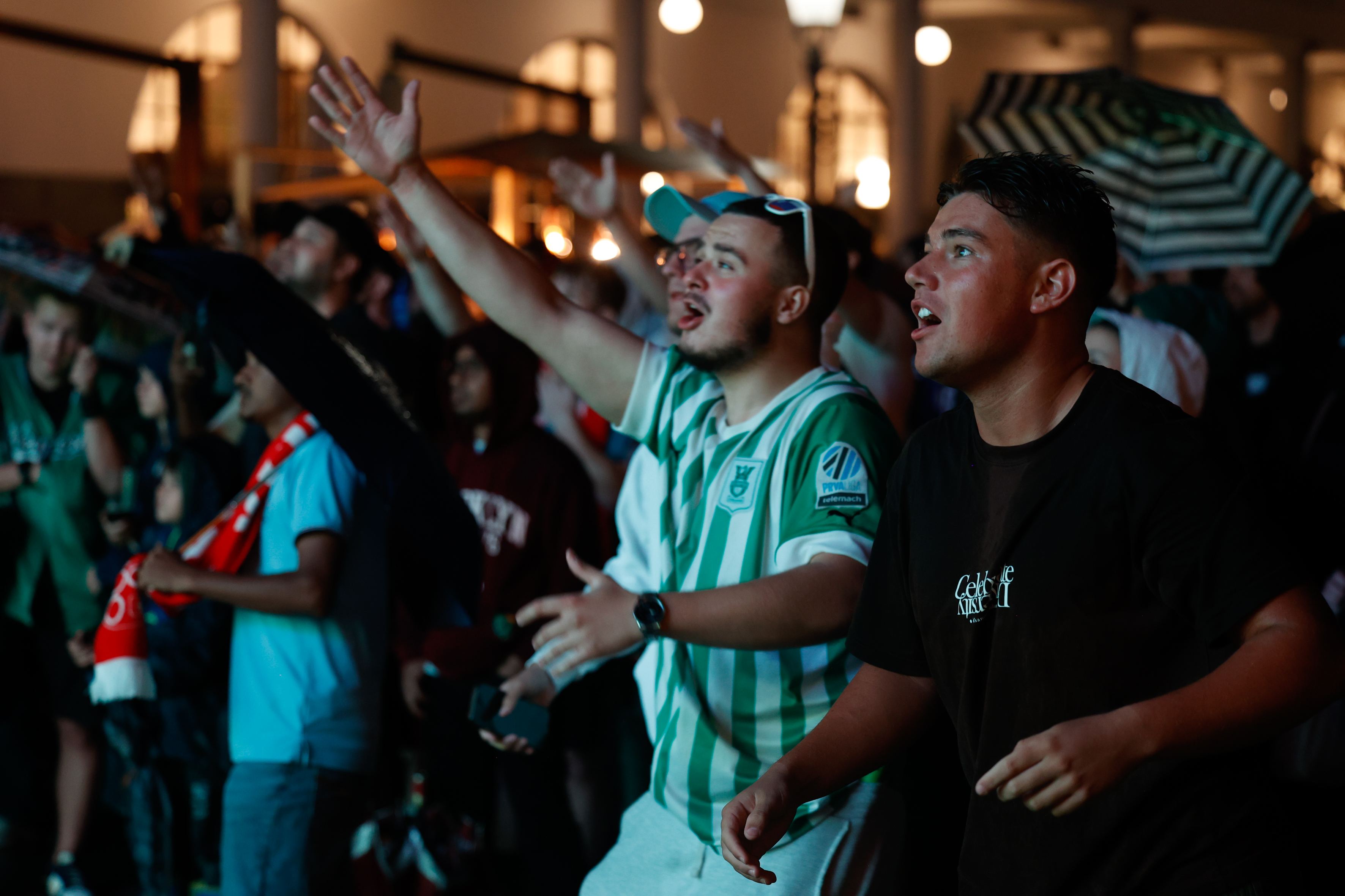 Foto: Nik Rovan /Bobo